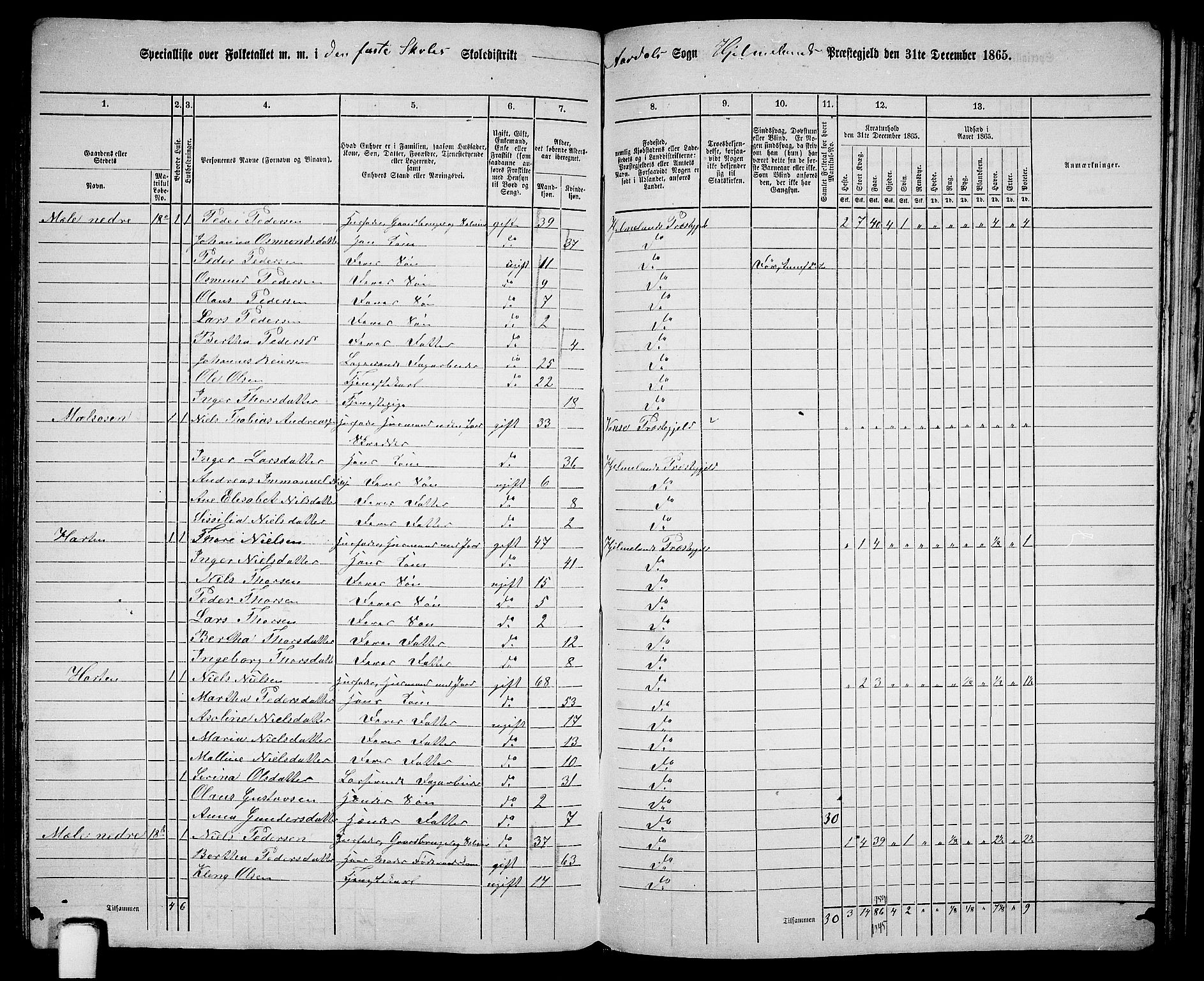 RA, 1865 census for Hjelmeland, 1865, p. 155