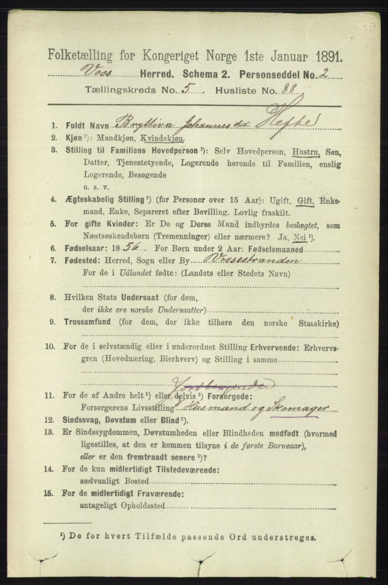 RA, 1891 census for 1235 Voss, 1891, p. 3208