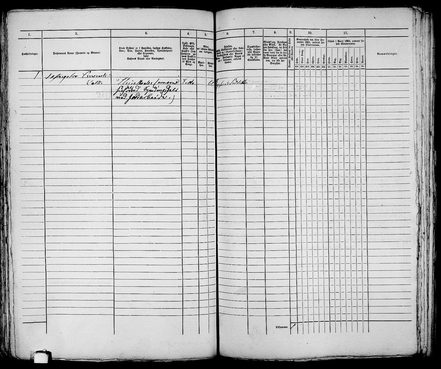 RA, 1865 census for Eigersund parish, Egersund town, 1865, p. 170