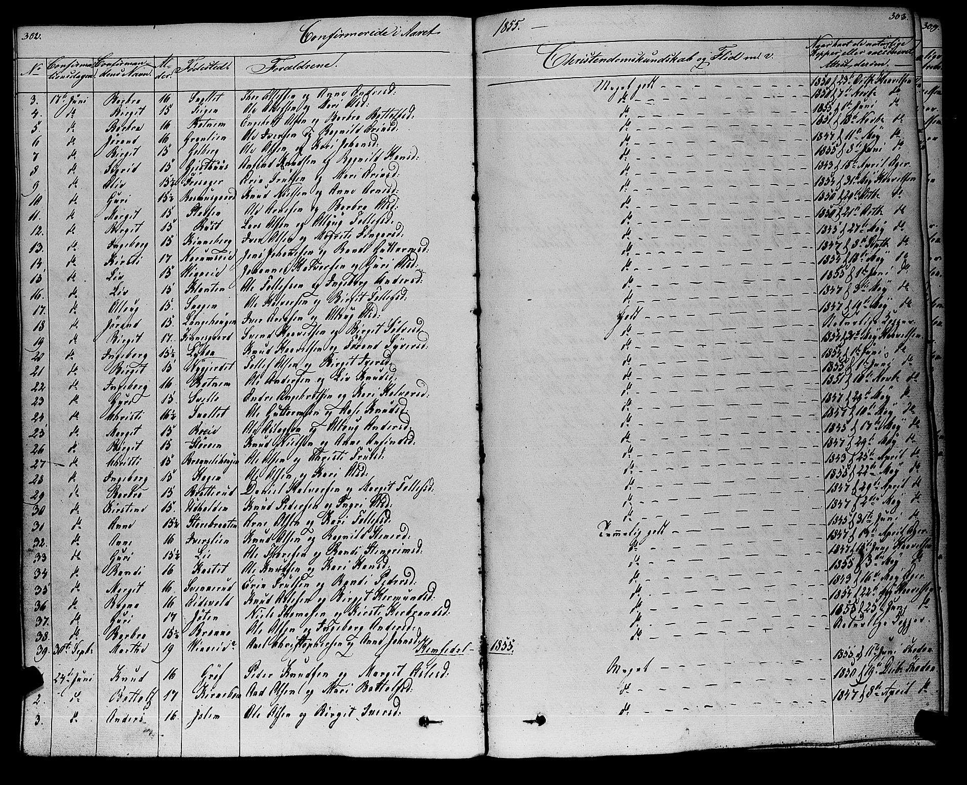 Gol kirkebøker, SAKO/A-226/F/Fa/L0002: Parish register (official) no. I 2, 1837-1863, p. 302-303