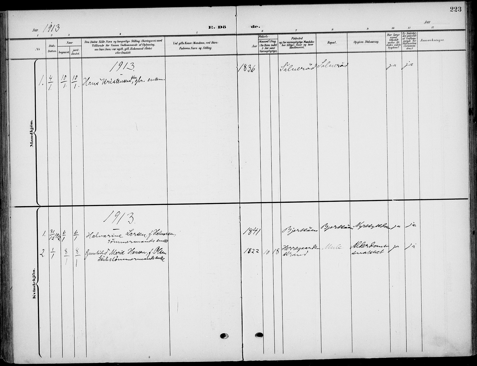 Eidanger kirkebøker, SAKO/A-261/F/Fa/L0013: Parish register (official) no. 13, 1900-1913, p. 223