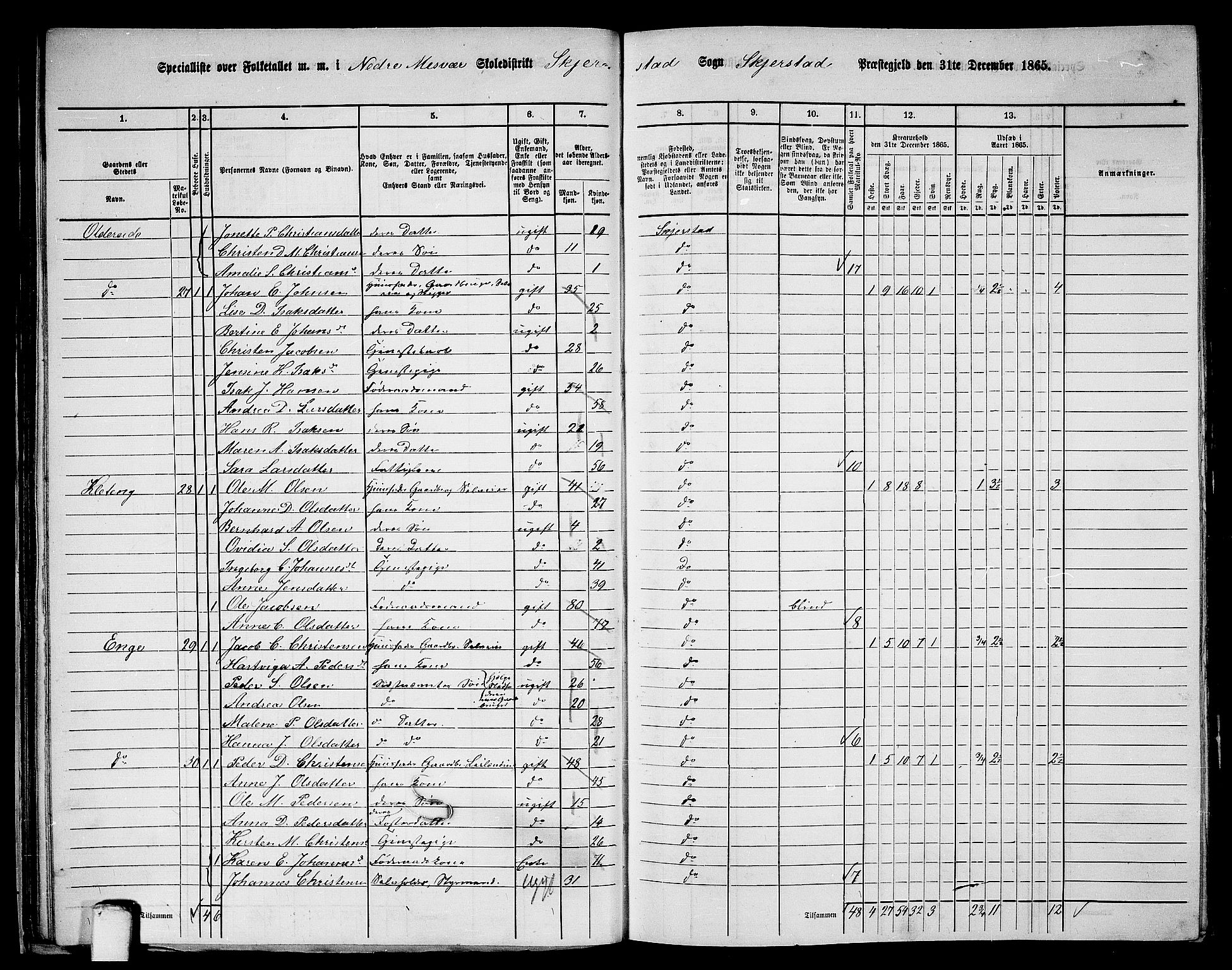 RA, 1865 census for Skjerstad, 1865, p. 41