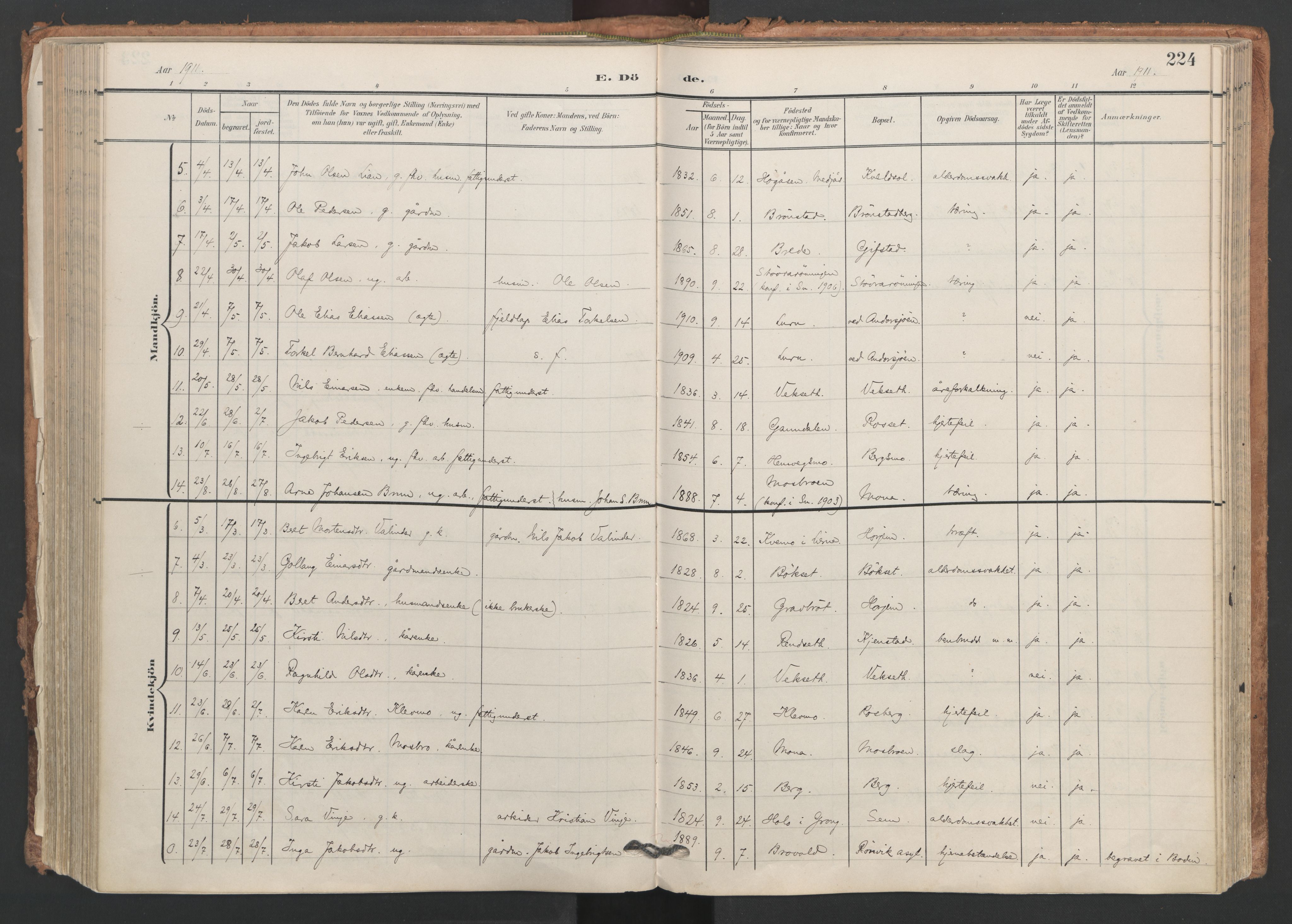 Ministerialprotokoller, klokkerbøker og fødselsregistre - Nord-Trøndelag, AV/SAT-A-1458/749/L0477: Parish register (official) no. 749A11, 1902-1927, p. 224