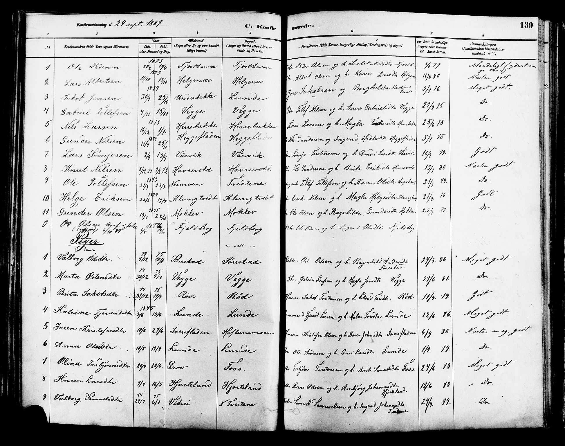 Suldal sokneprestkontor, AV/SAST-A-101845/01/IV/L0011: Parish register (official) no. A 11, 1878-1900, p. 139