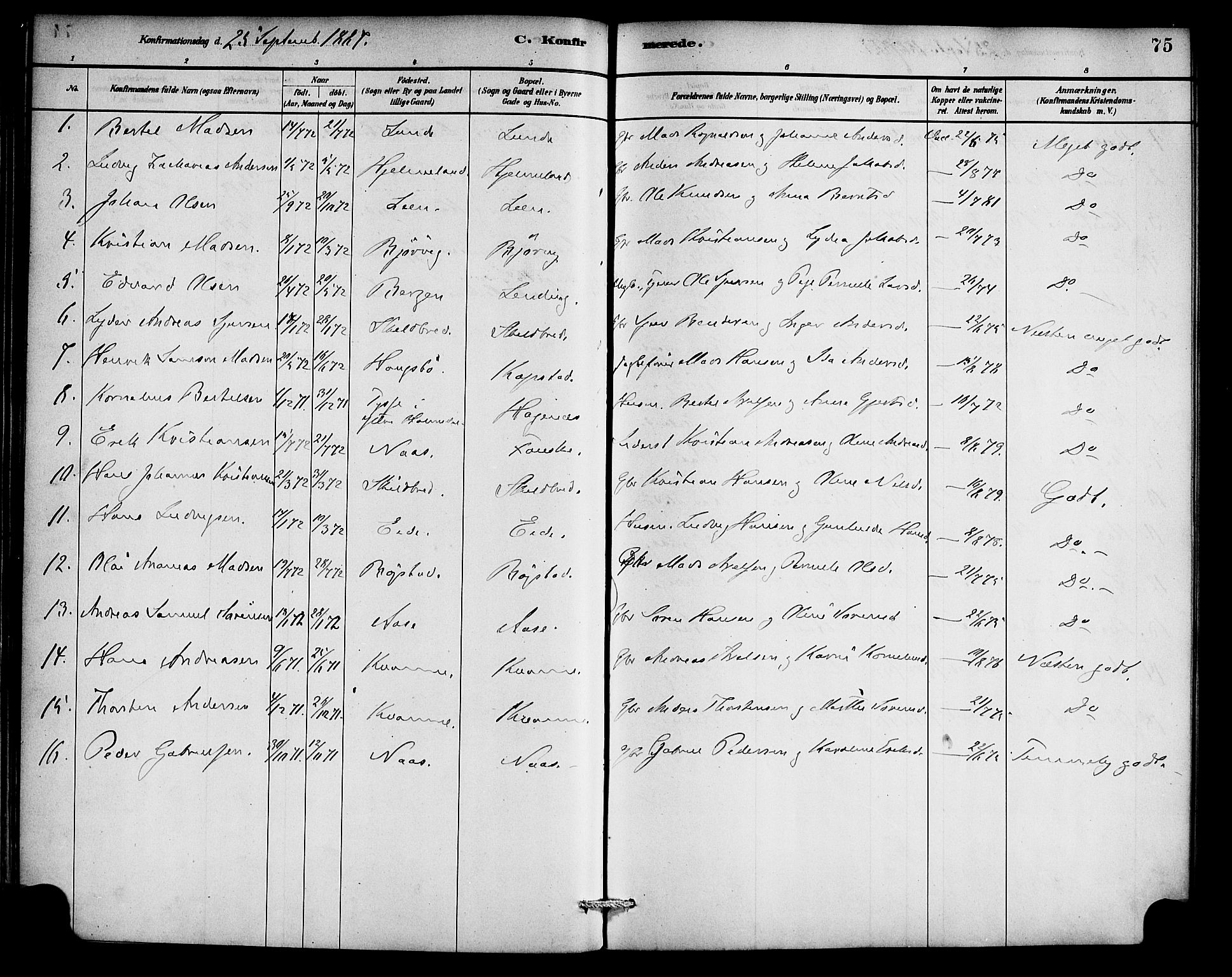 Gaular sokneprestembete, AV/SAB-A-80001/H/Haa: Parish register (official) no. C 1, 1882-1897, p. 75