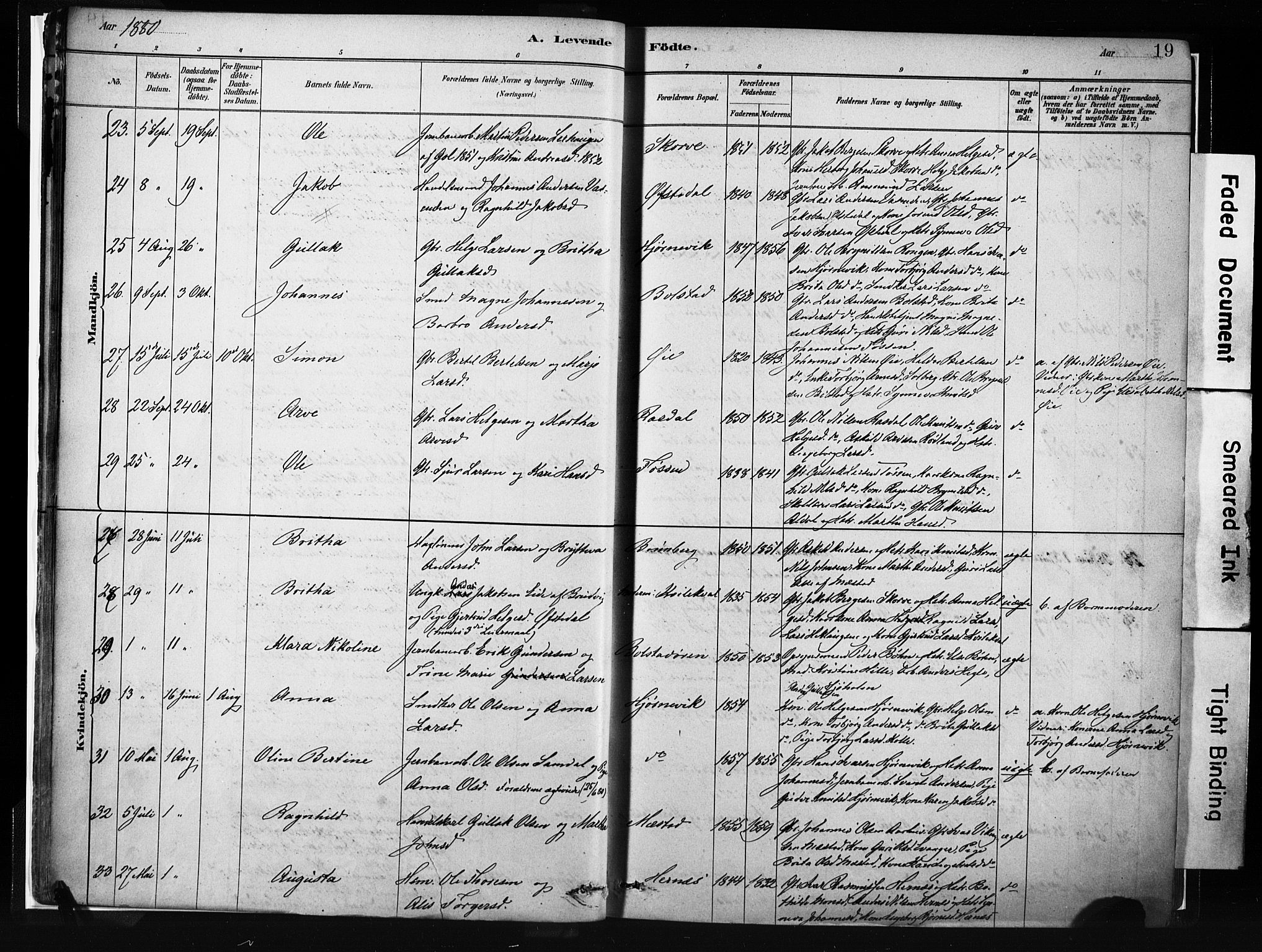 Evanger sokneprestembete, AV/SAB-A-99924: Parish register (official) no. A 1, 1877-1899, p. 19