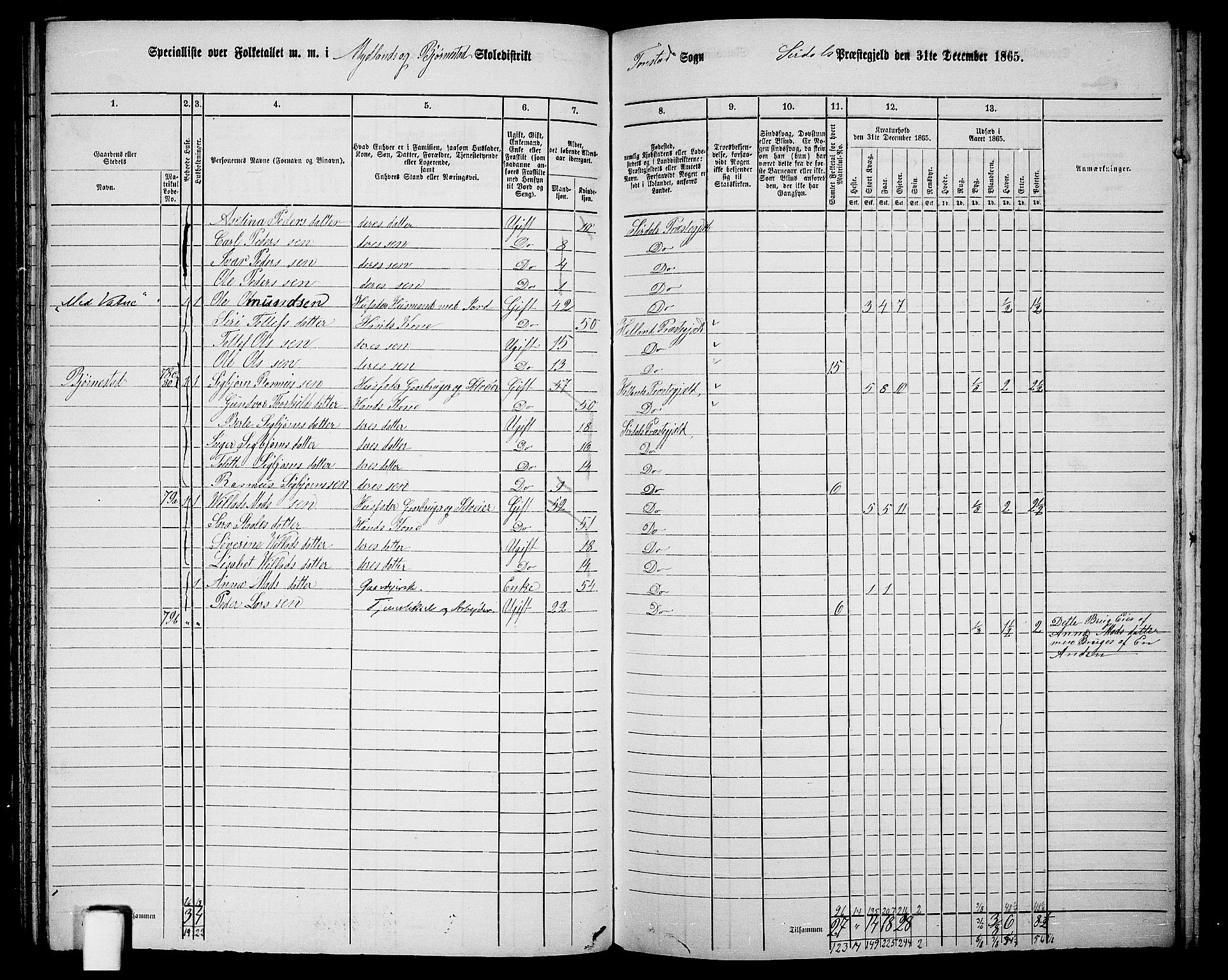 RA, 1865 census for Sirdal, 1865, p. 10