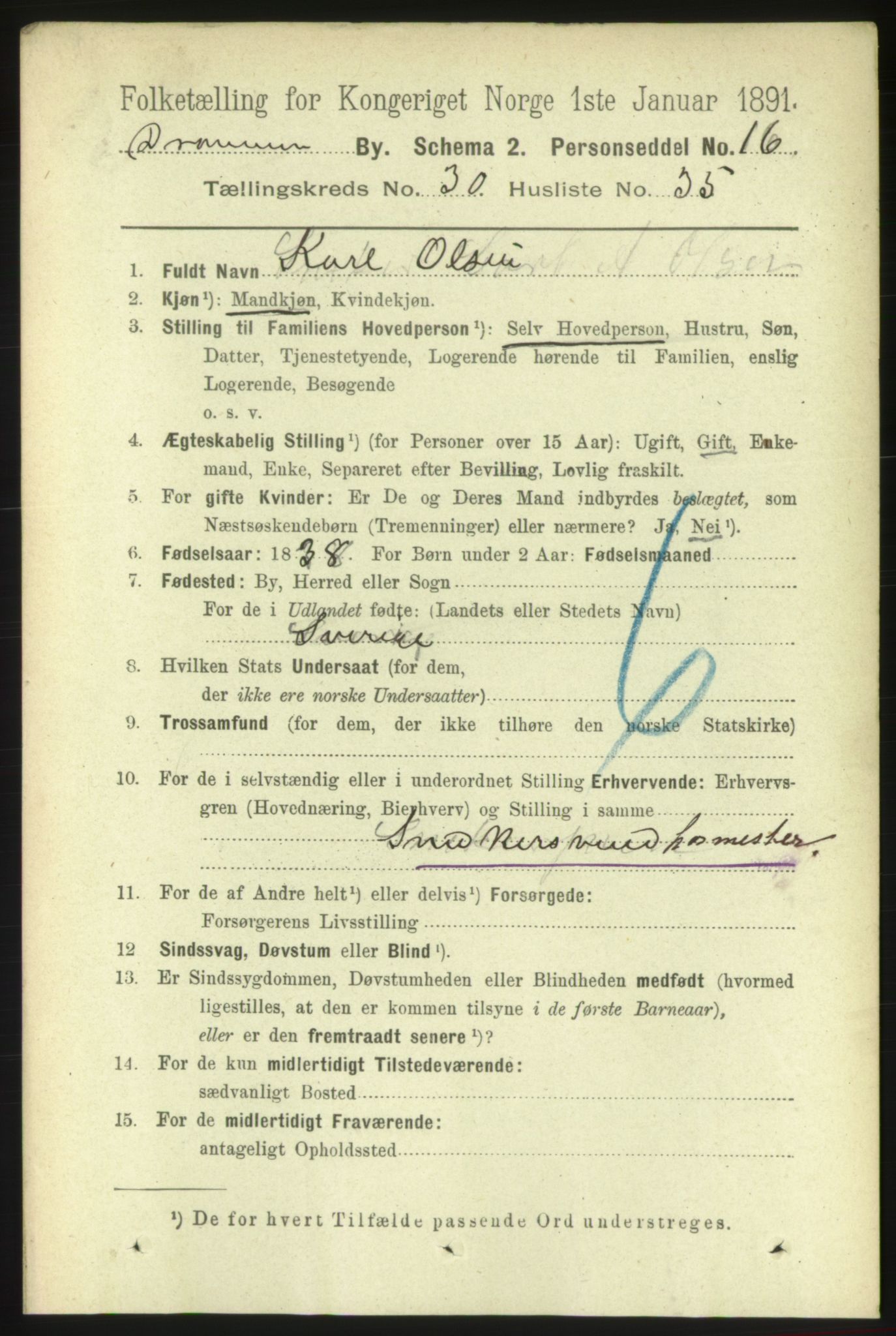 RA, 1891 census for 0602 Drammen, 1891, p. 18565