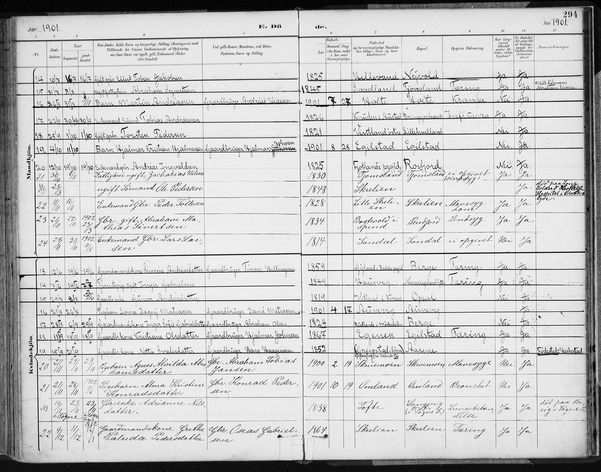 Lyngdal sokneprestkontor, AV/SAK-1111-0029/F/Fa/Fac/L0012: Parish register (official) no. A 12, 1894-1918, p. 294