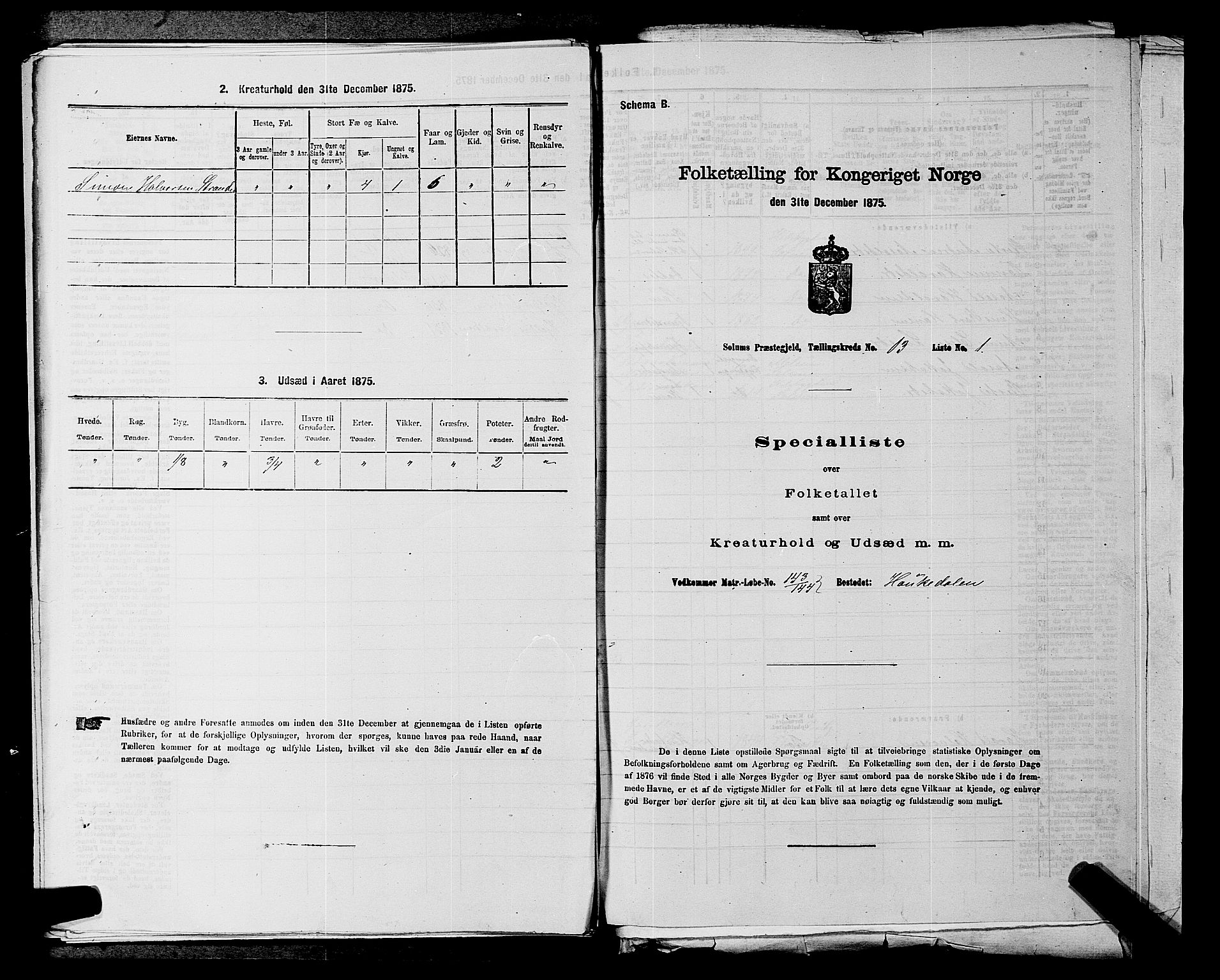 SAKO, 1875 census for 0818P Solum, 1875, p. 1961