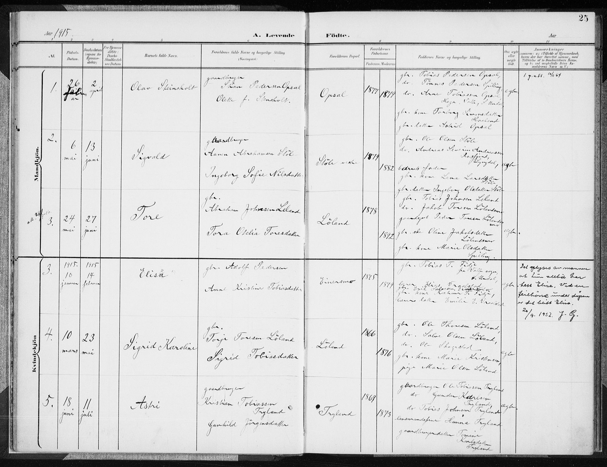 Nord-Audnedal sokneprestkontor, AV/SAK-1111-0032/F/Fa/Fab/L0004: Parish register (official) no. A 4, 1901-1917, p. 25