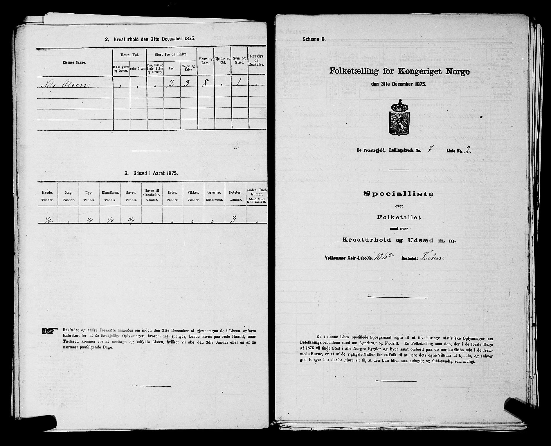 SAKO, 1875 census for 0821P Bø, 1875, p. 1002