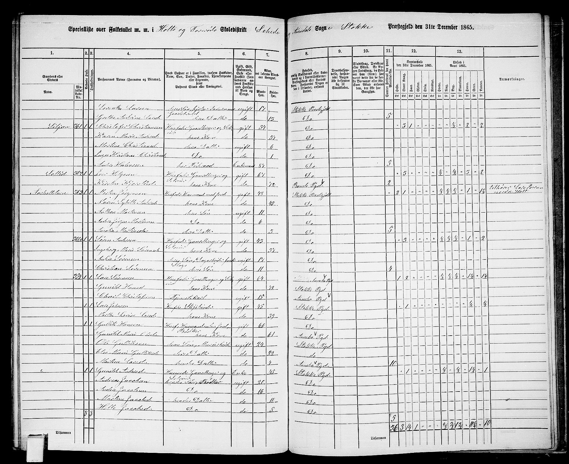 RA, 1865 census for Stokke, 1865, p. 174