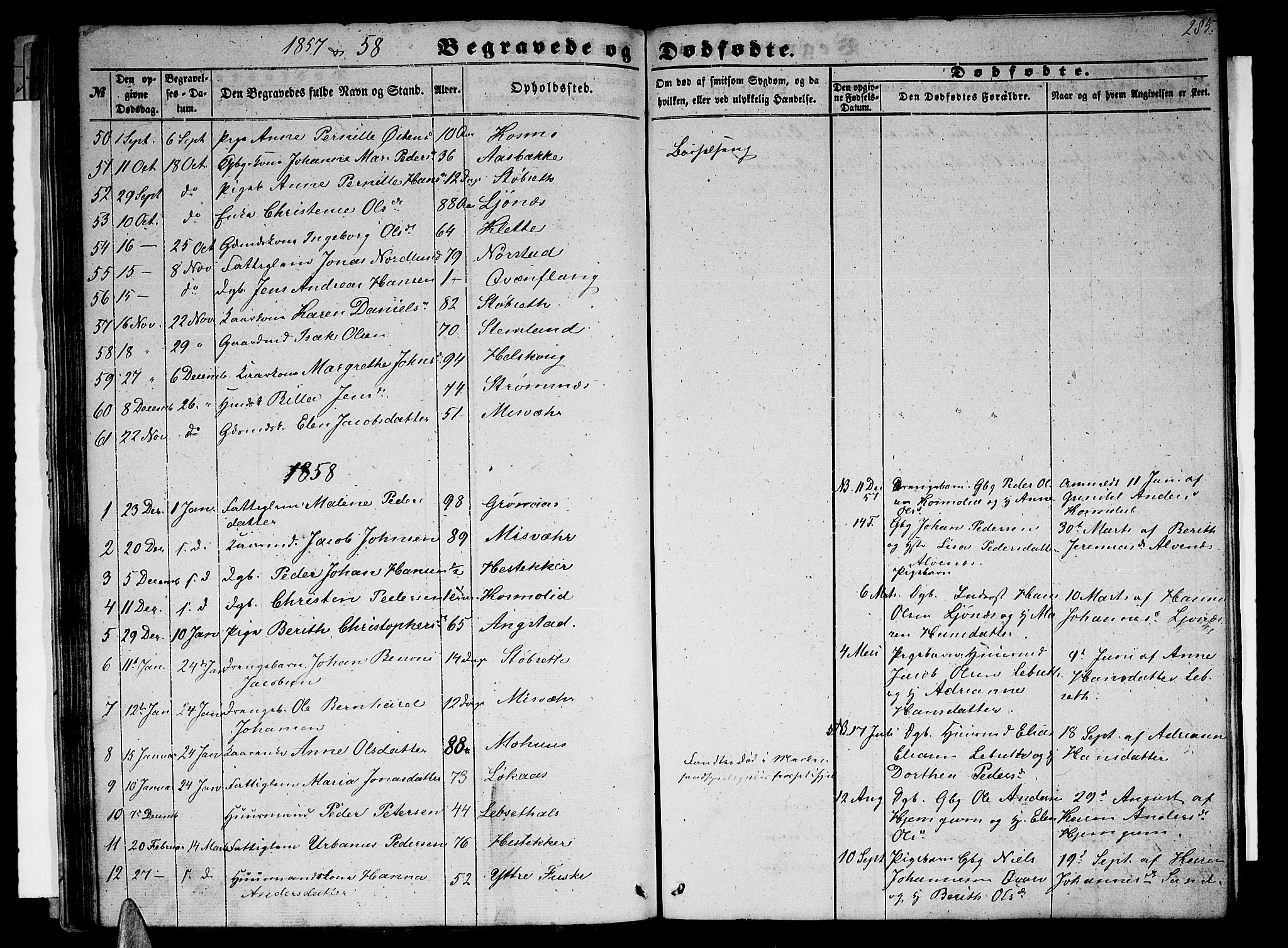 Ministerialprotokoller, klokkerbøker og fødselsregistre - Nordland, AV/SAT-A-1459/852/L0753: Parish register (copy) no. 852C04, 1856-1877, p. 285