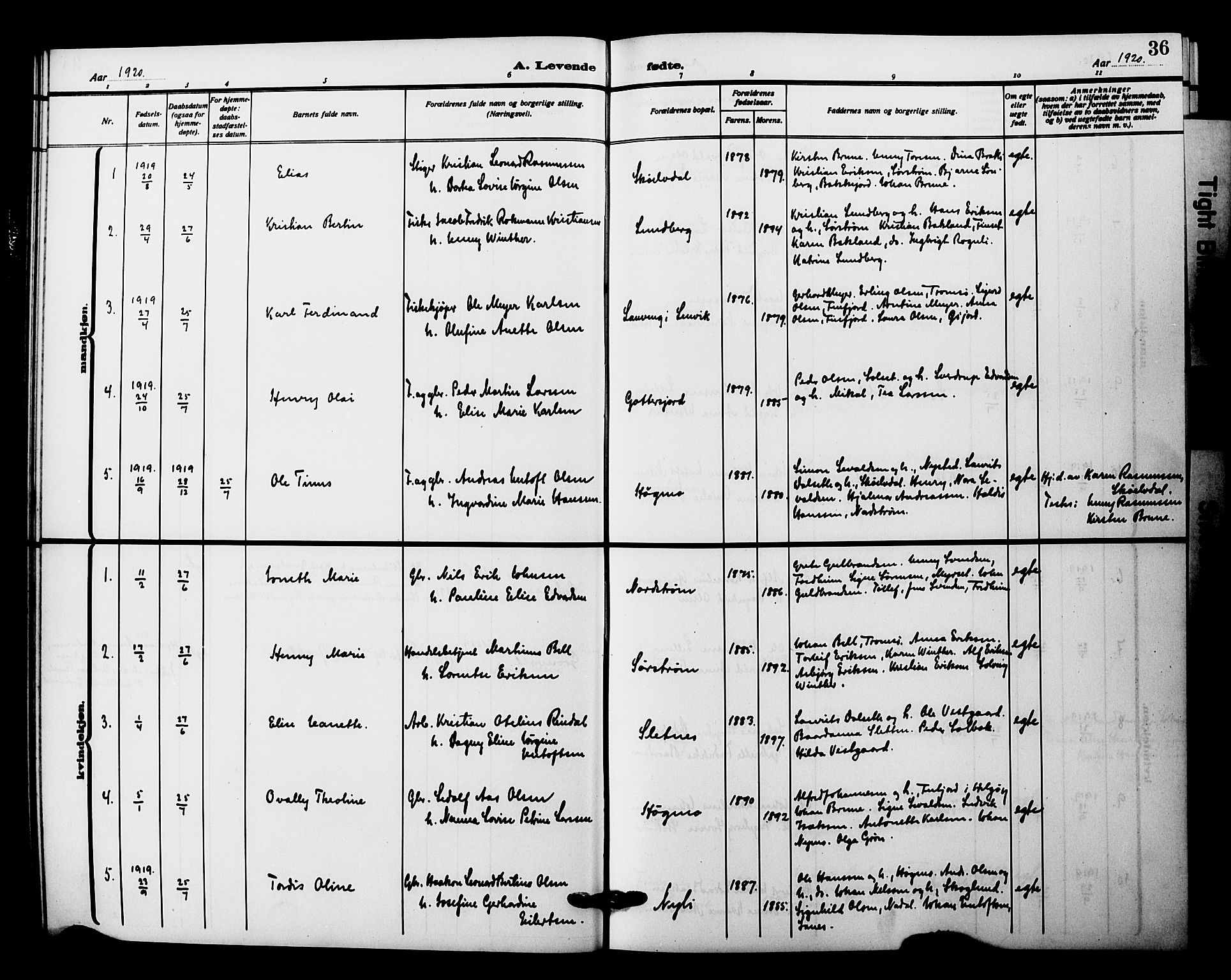 Tranøy sokneprestkontor, AV/SATØ-S-1313/I/Ia/Iab/L0023klokker: Parish register (copy) no. 23, 1913-1928, p. 36