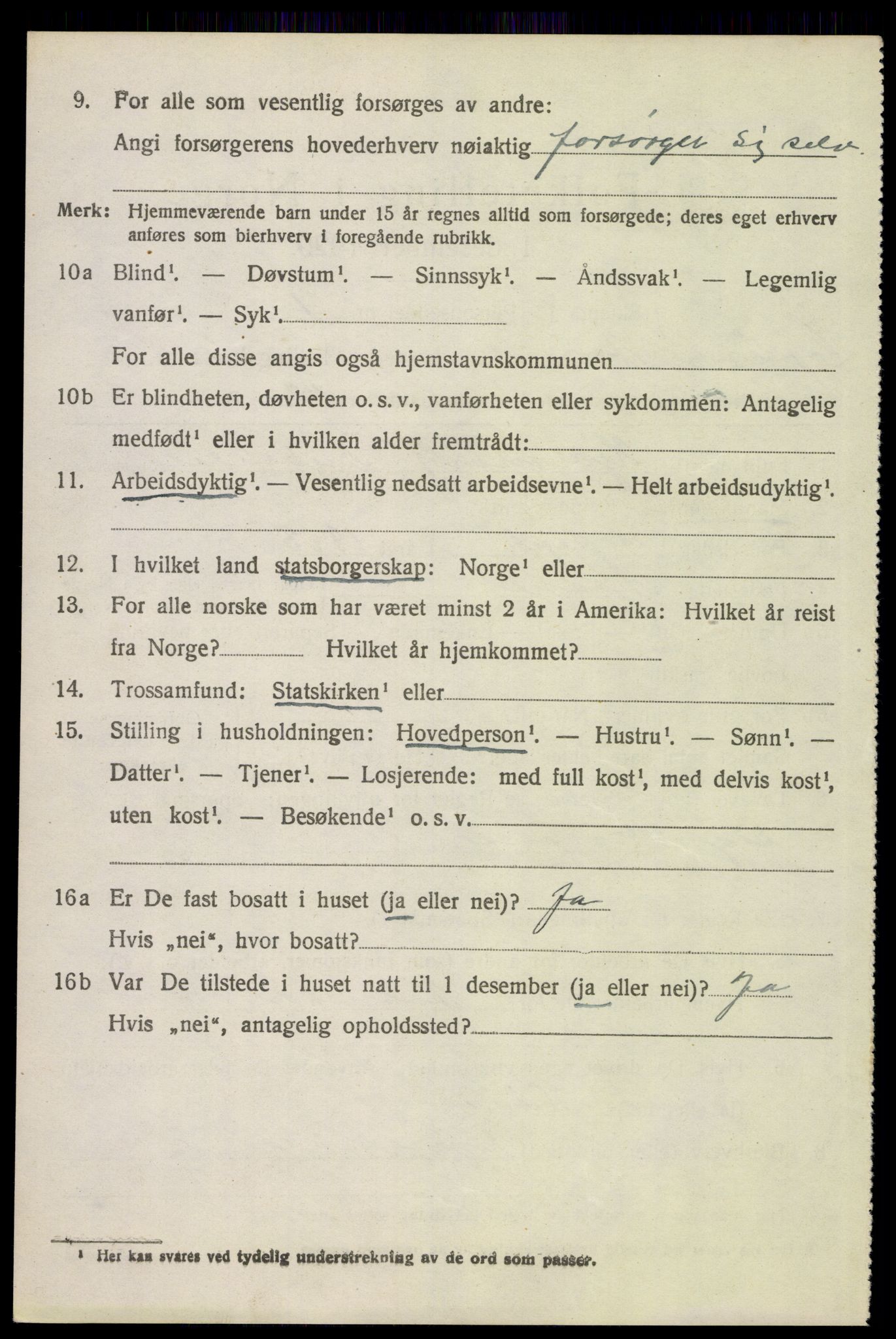 SAH, 1920 census for Åsnes, 1920, p. 9129