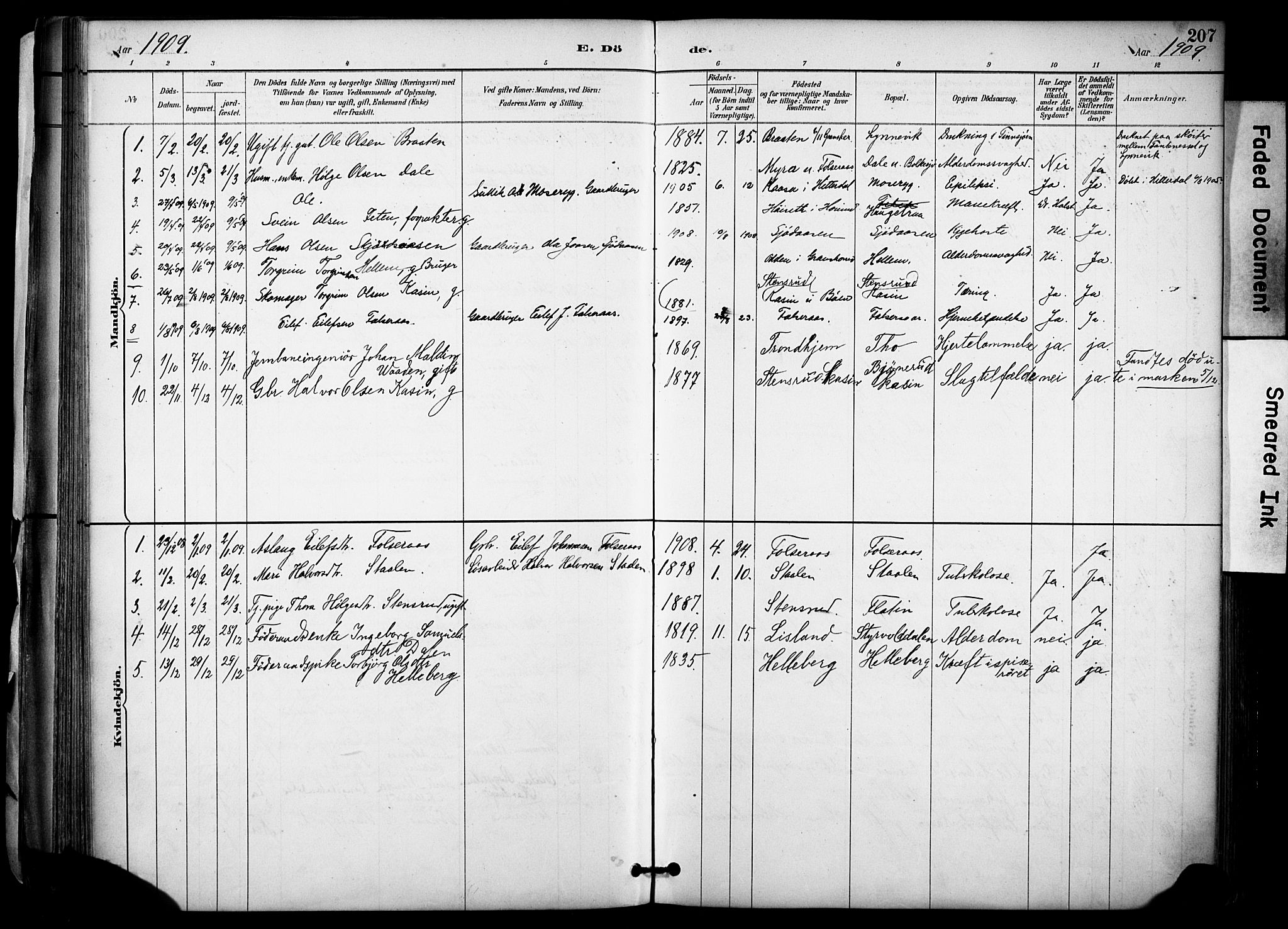 Gransherad kirkebøker, AV/SAKO-A-267/F/Fa/L0005: Parish register (official) no. I 5, 1887-1916, p. 207