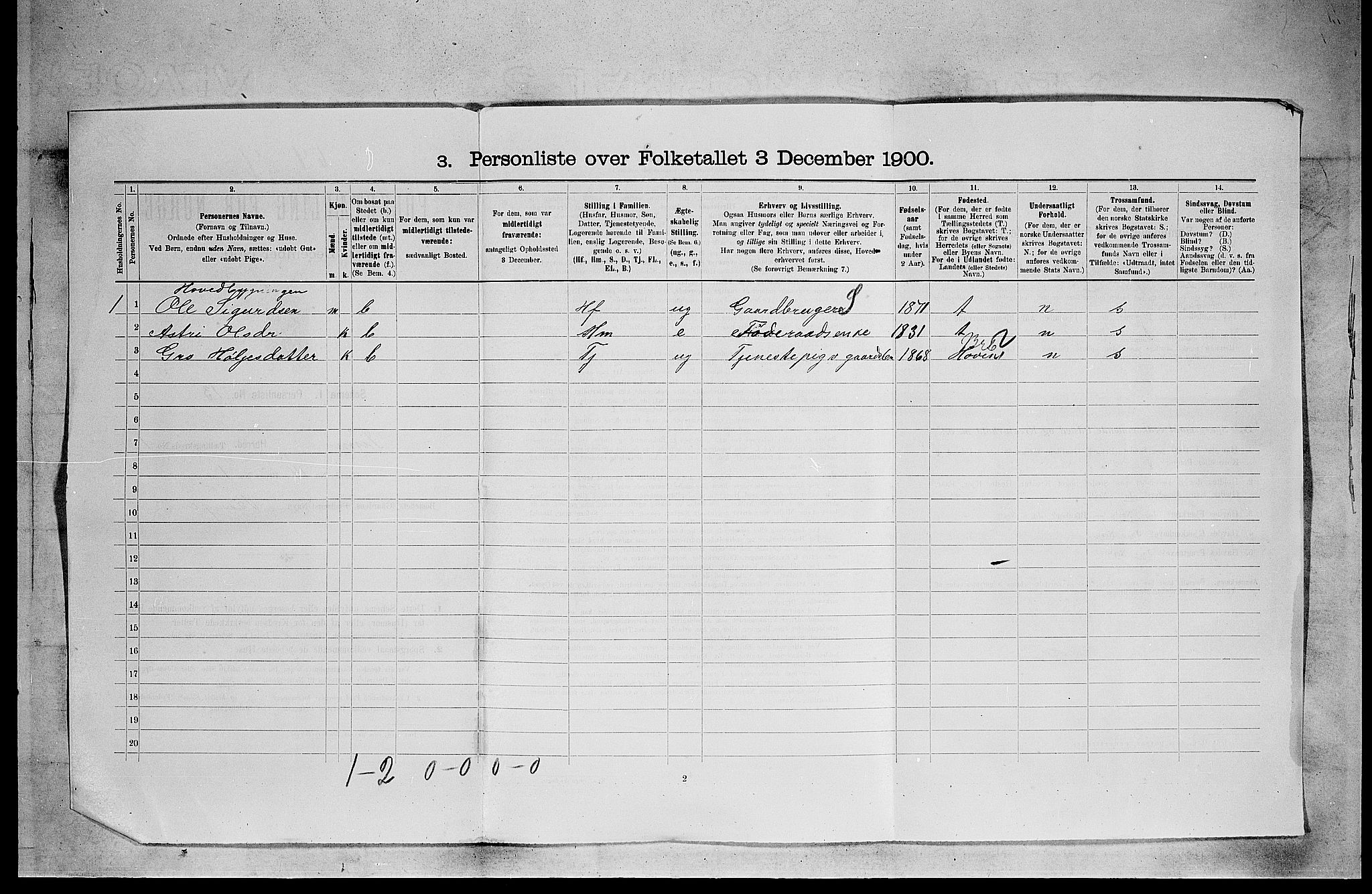 SAKO, 1900 census for Tinn, 1900, p. 32