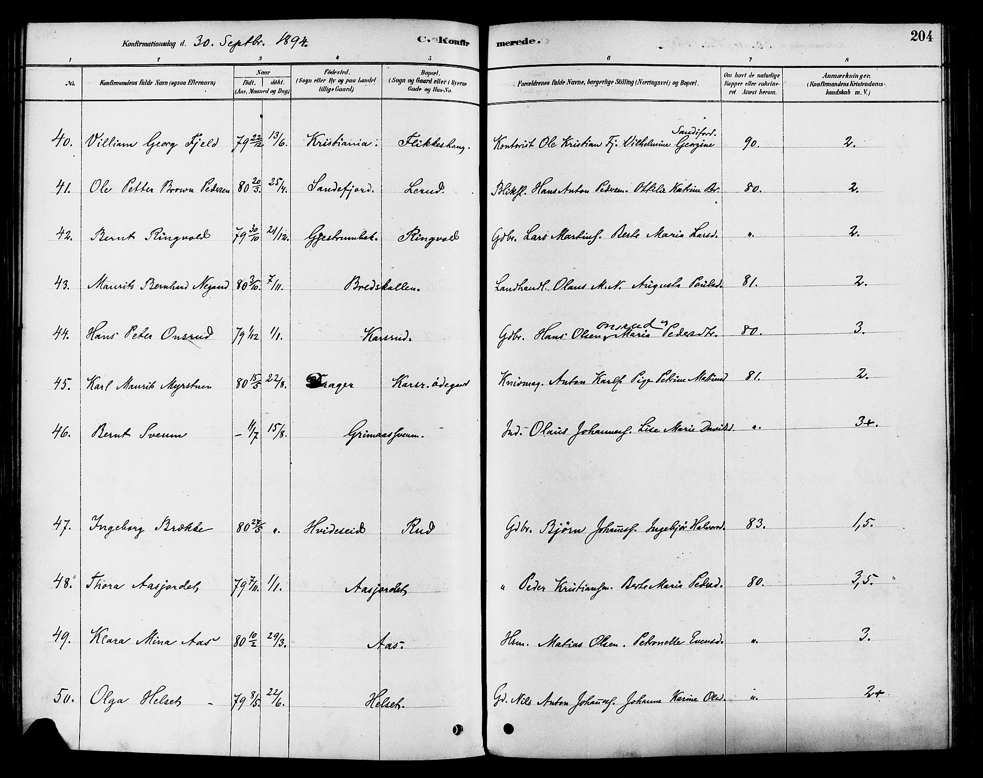 Vestre Toten prestekontor, AV/SAH-PREST-108/H/Ha/Haa/L0009: Parish register (official) no. 9, 1878-1894, p. 204