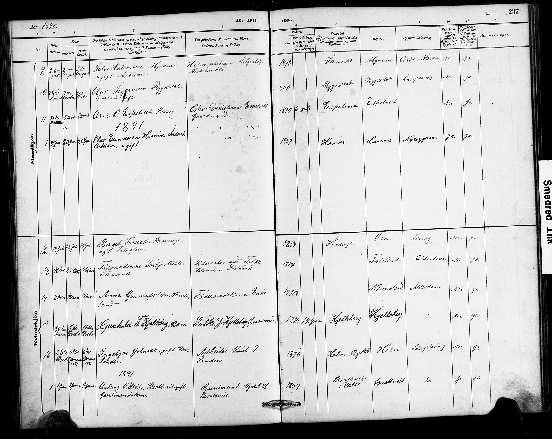 Valle sokneprestkontor, SAK/1111-0044/F/Fb/Fbc/L0004: Parish register (copy) no. B 4, 1890-1928, p. 237