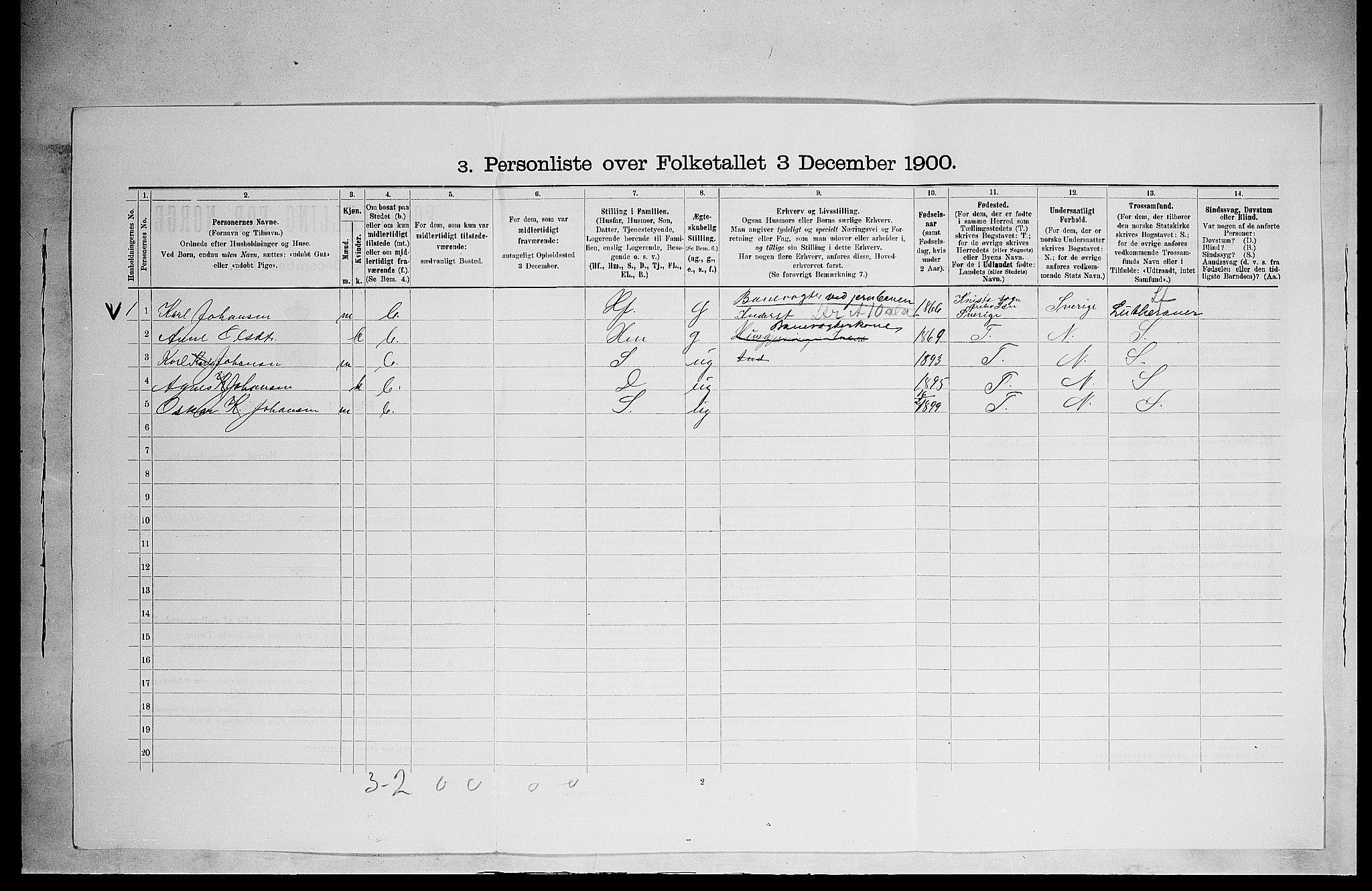 SAH, 1900 census for Ringsaker, 1900, p. 3039