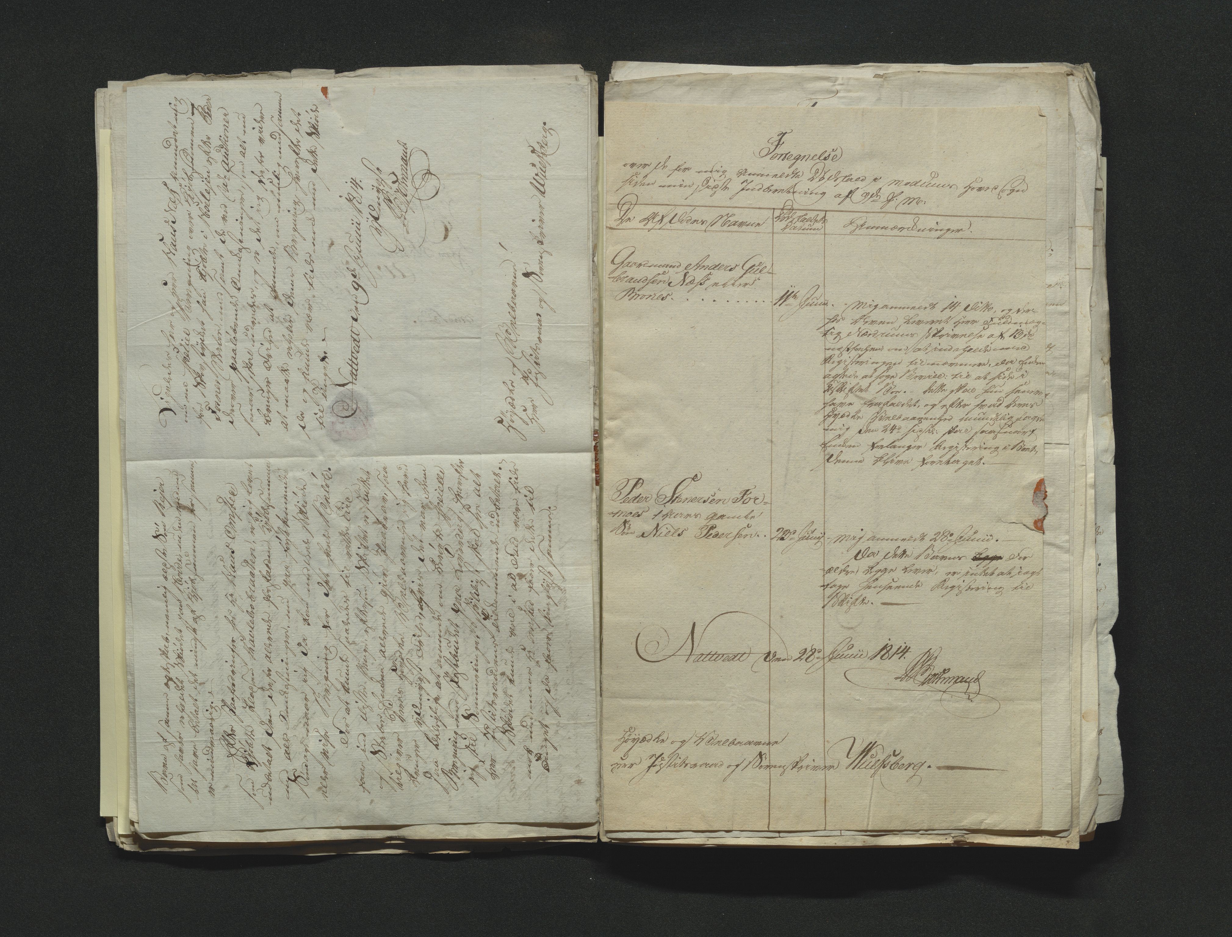 Eiker, Modum og Sigdal sorenskriveri, AV/SAKO-A-123/H/Ha/Hab/L0001: Dødsfallsmeldinger, 1812-1822, p. 65