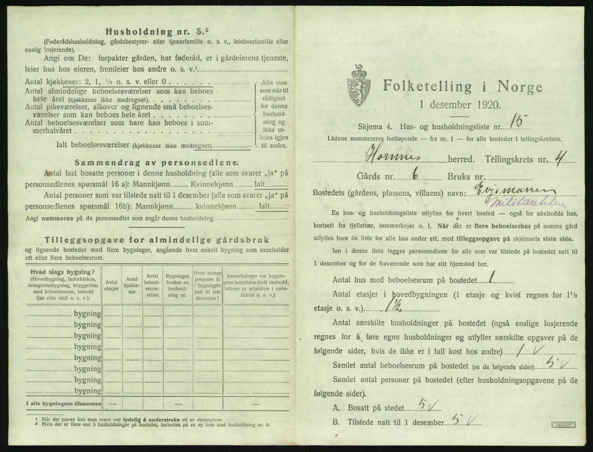 SAK, 1920 census for Hornnes, 1920, p. 201