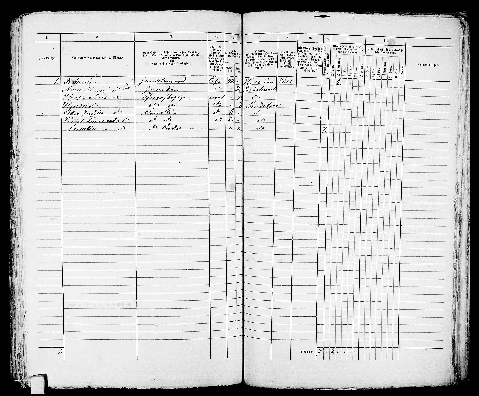 RA, 1865 census for Sandeherred/Sandefjord, 1865, p. 376