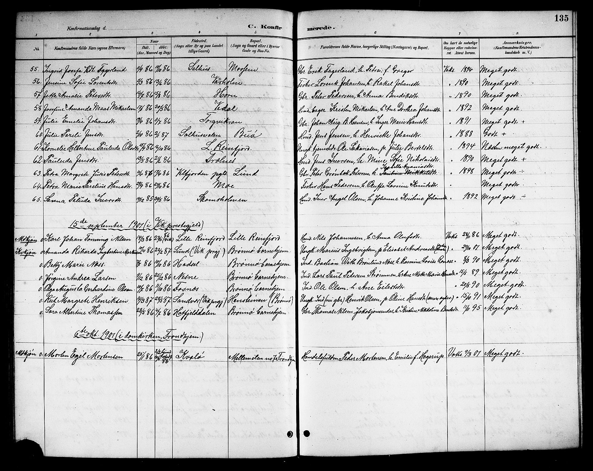Ministerialprotokoller, klokkerbøker og fødselsregistre - Nordland, SAT/A-1459/813/L0213: Parish register (copy) no. 813C05, 1887-1903, p. 135