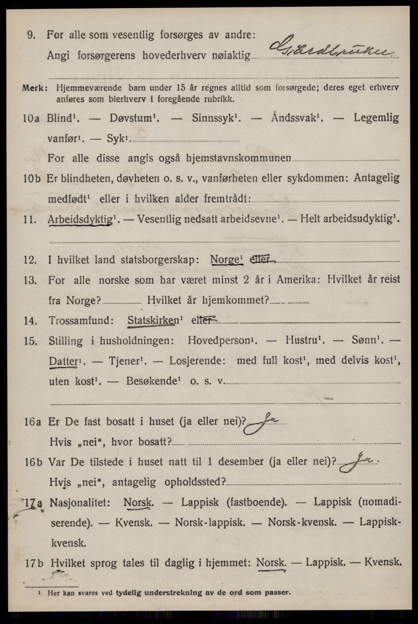 SAT, 1920 census for Røros, 1920, p. 11307