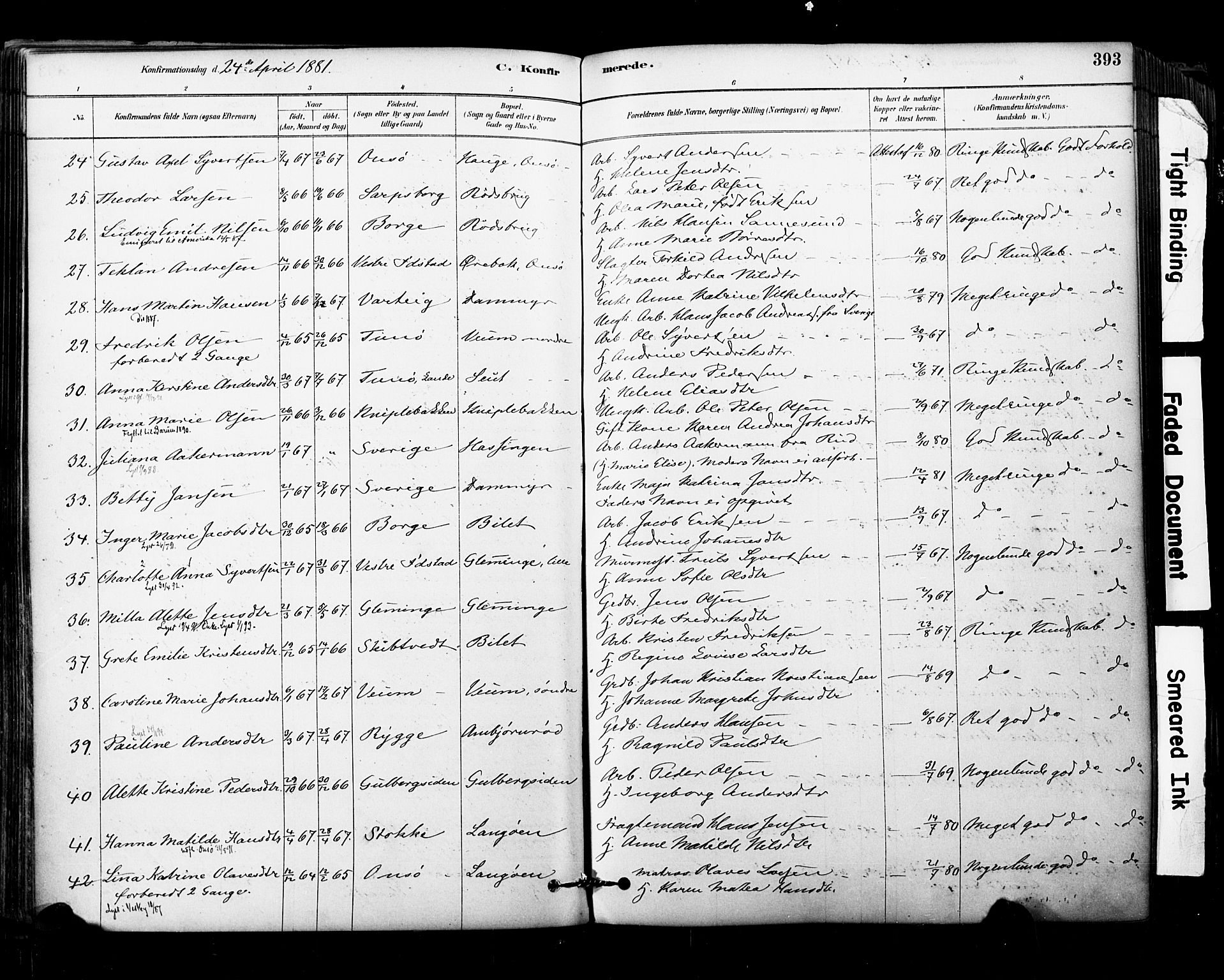 Glemmen prestekontor Kirkebøker, AV/SAO-A-10908/F/Fa/L0011: Parish register (official) no. 11, 1878-1917, p. 393