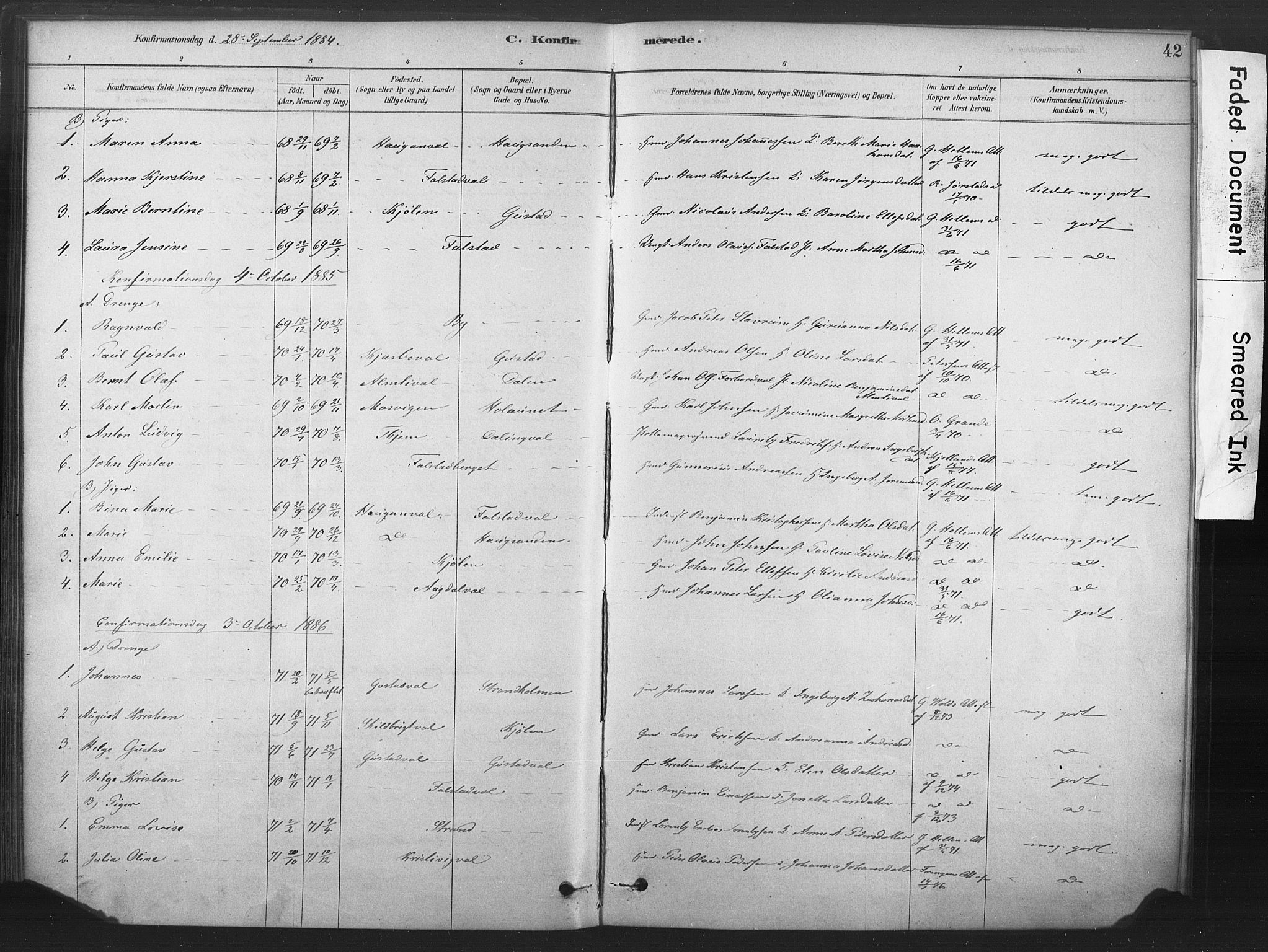 Ministerialprotokoller, klokkerbøker og fødselsregistre - Nord-Trøndelag, SAT/A-1458/719/L0178: Parish register (official) no. 719A01, 1878-1900, p. 42