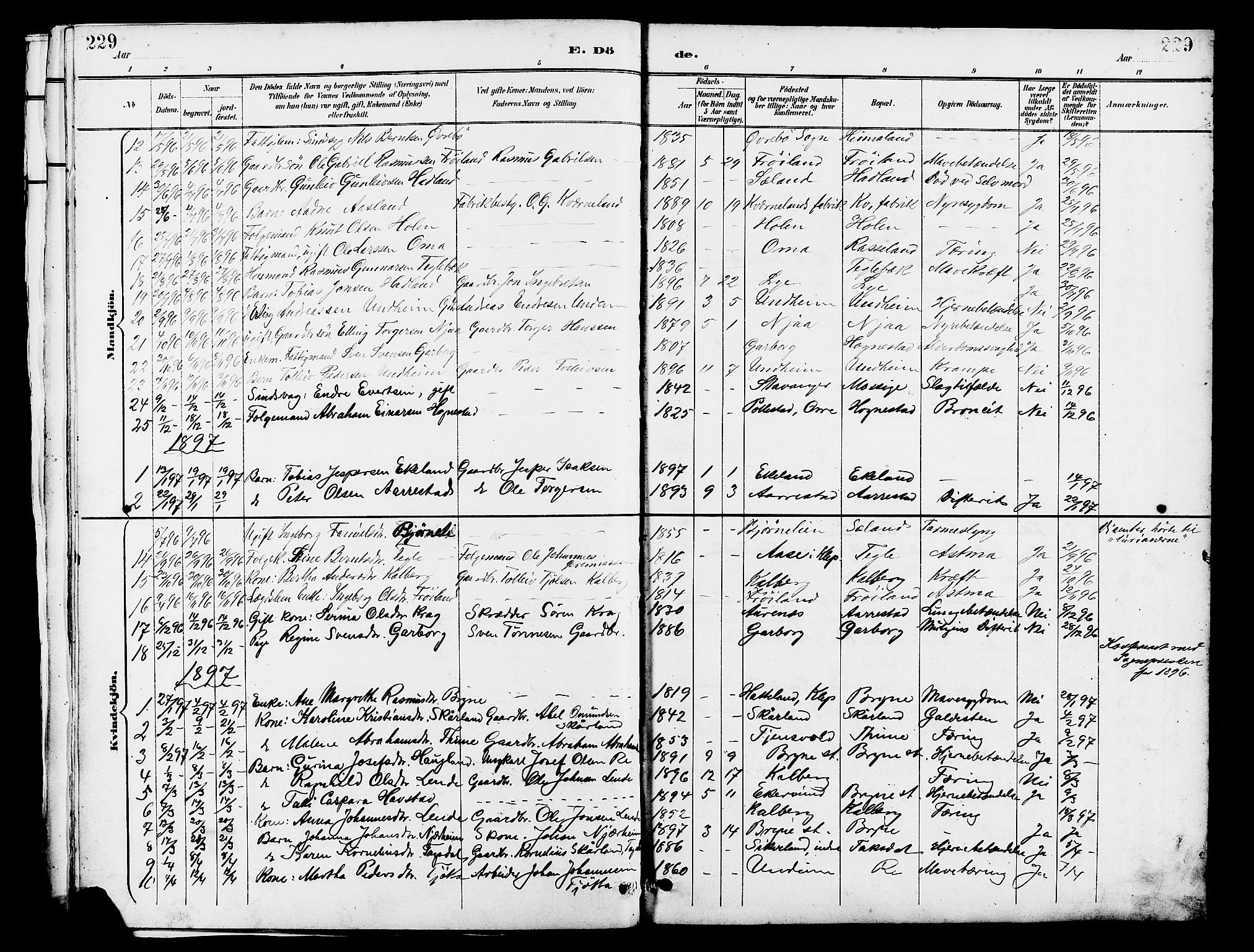 Lye sokneprestkontor, SAST/A-101794/001/30BB/L0007: Parish register (copy) no. B 8, 1889-1909, p. 229