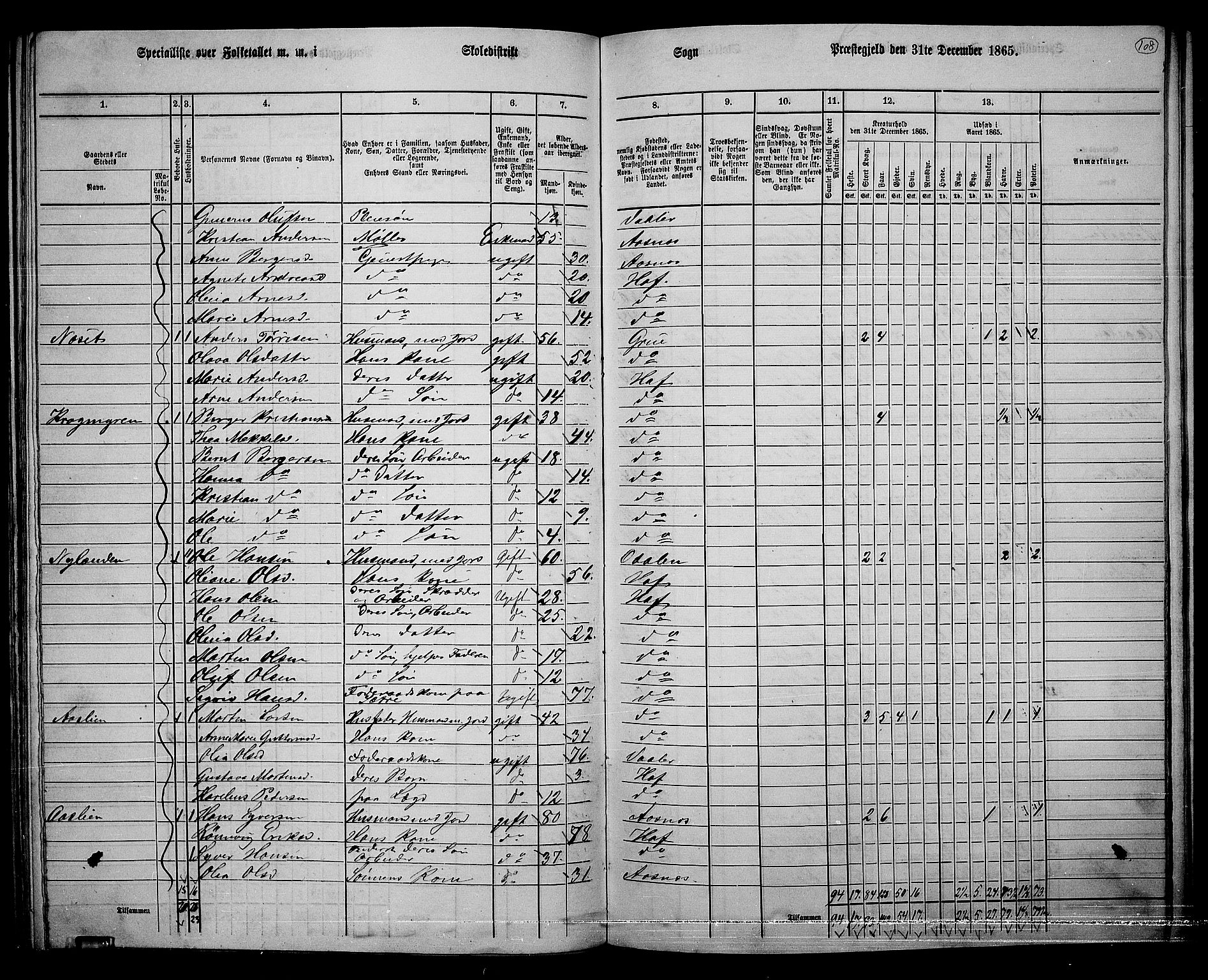 RA, 1865 census for Hof, 1865, p. 100