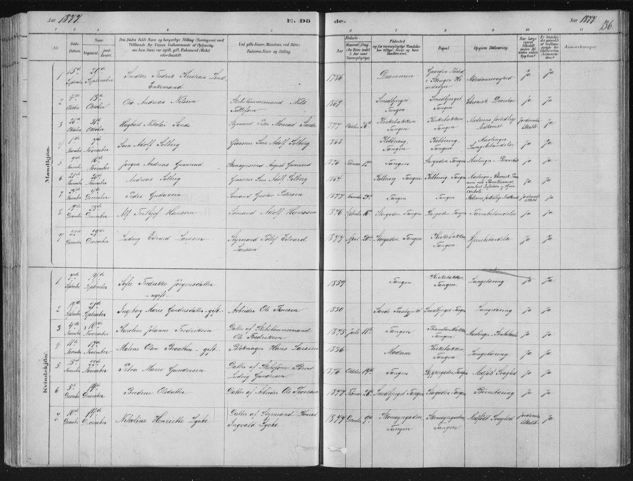 Strømsø kirkebøker, SAKO/A-246/F/Fb/L0005: Parish register (official) no. II 5, 1877-1902, p. 136