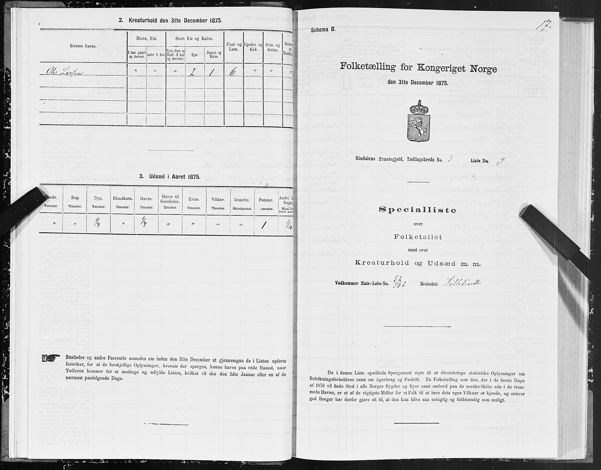 SAT, 1875 census for 1567P Rindal, 1875, p. 2017