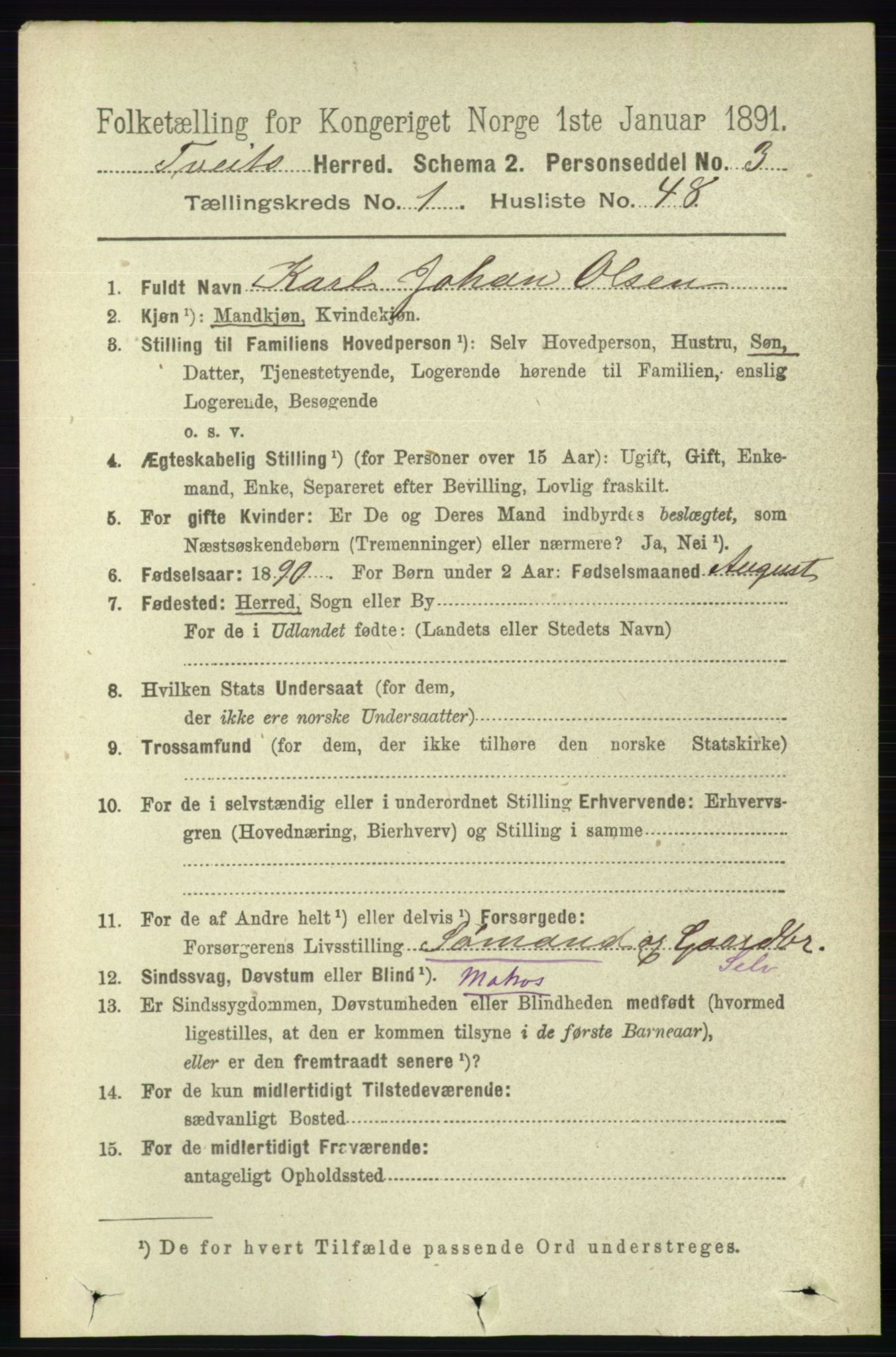 RA, 1891 census for 1013 Tveit, 1891, p. 319