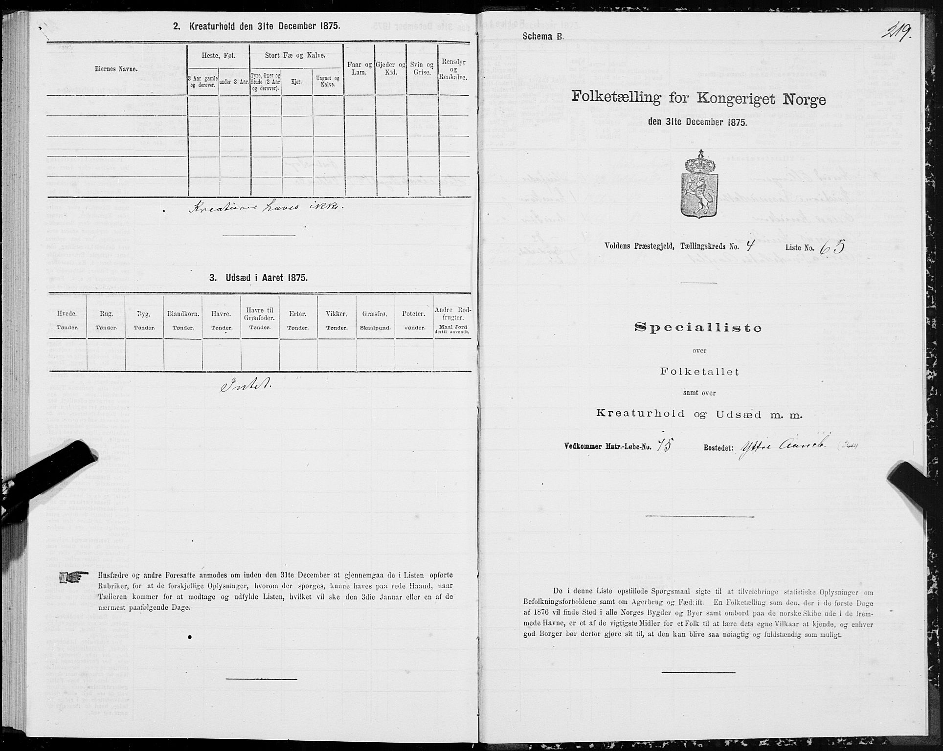 SAT, 1875 census for 1519P Volda, 1875, p. 3219