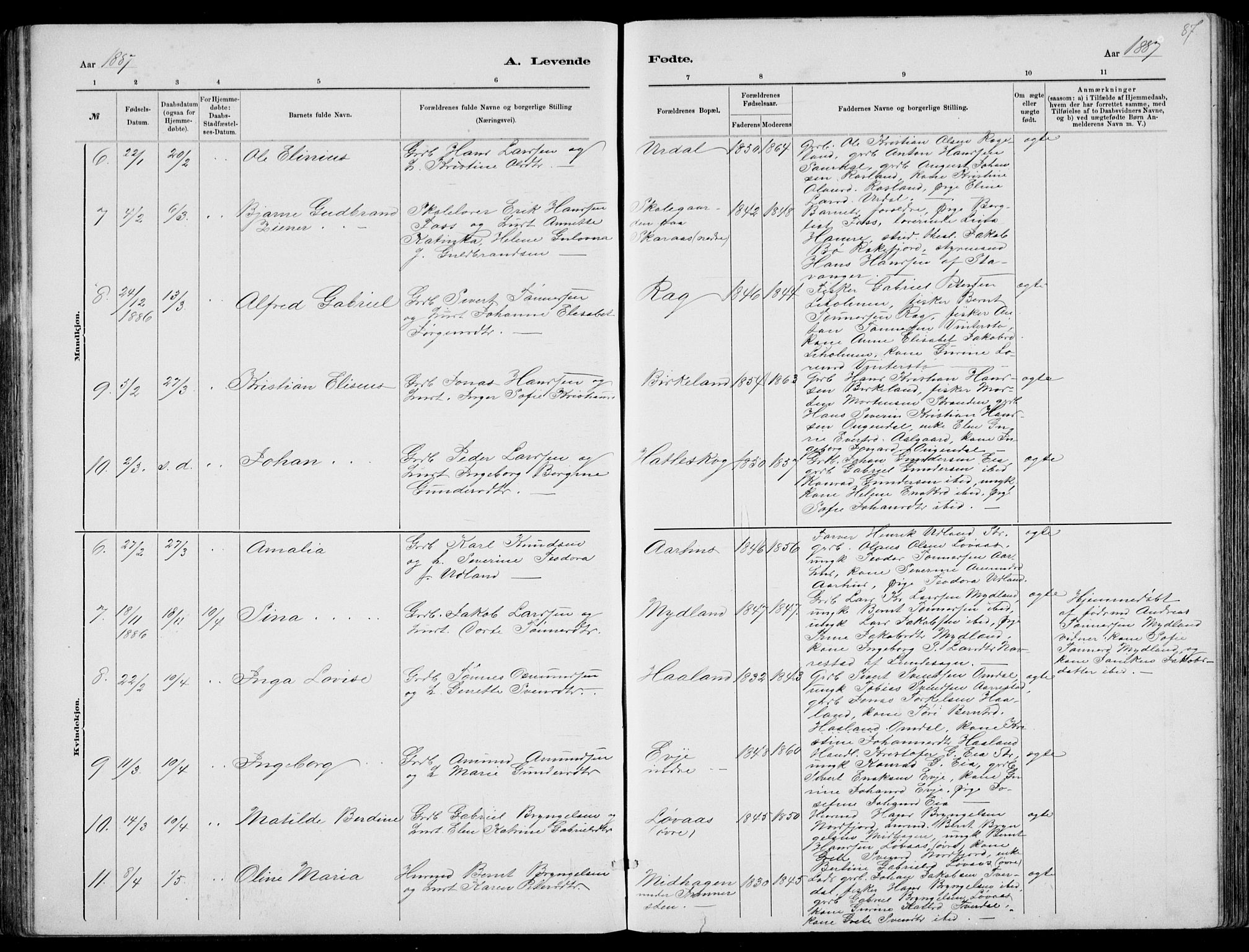 Sokndal sokneprestkontor, AV/SAST-A-101808: Parish register (copy) no. B 4, 1880-1891, p. 87