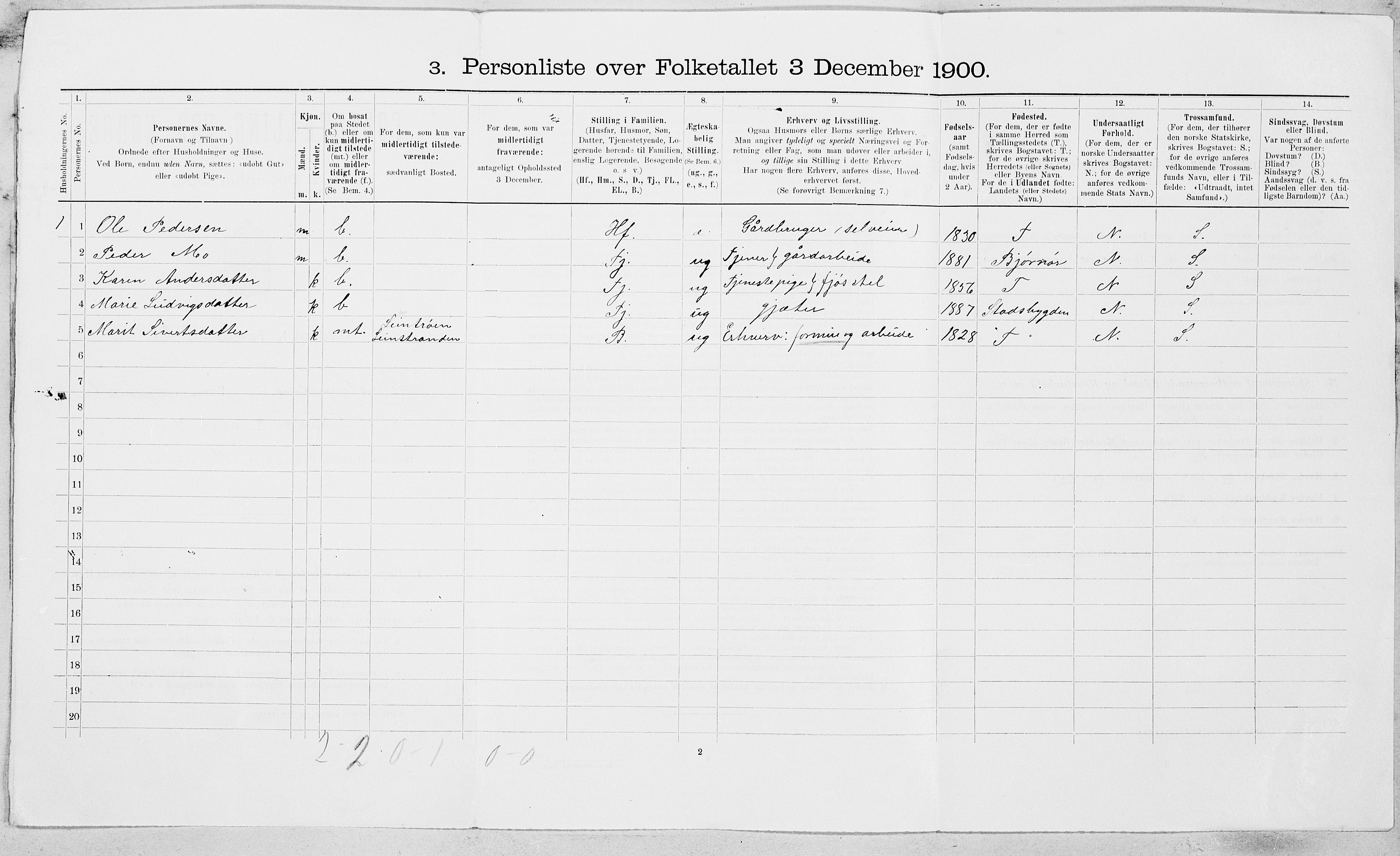 SAT, 1900 census for Leinstrand, 1900, p. 13