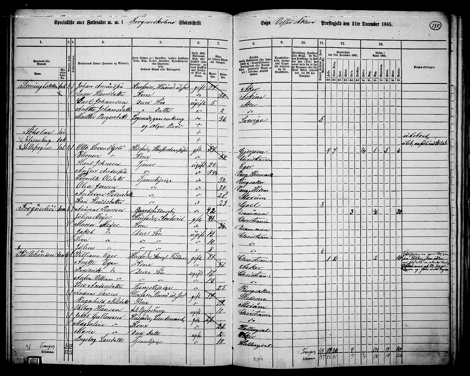 RA, 1865 census for Vestre Aker, 1865, p. 299