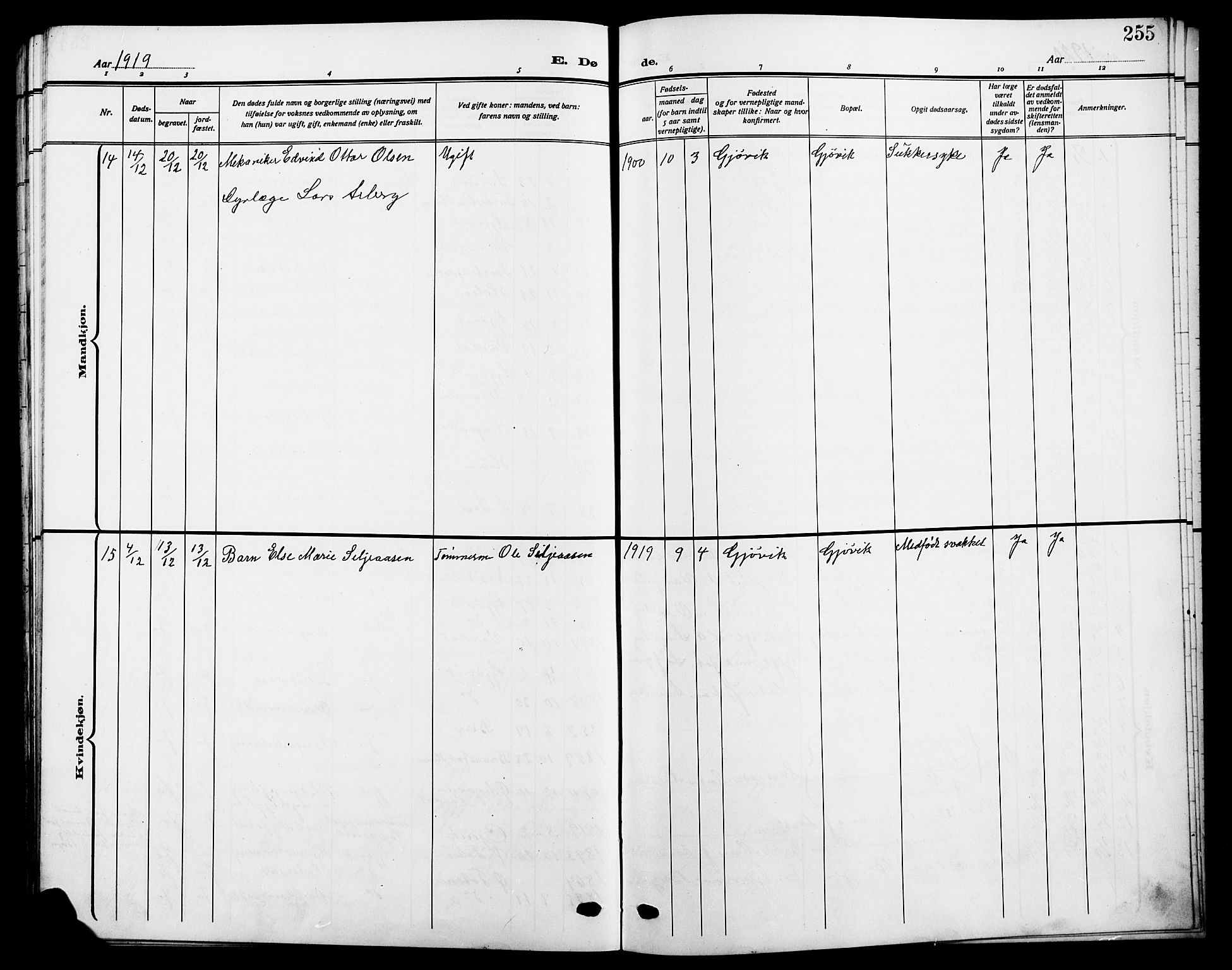 Vardal prestekontor, AV/SAH-PREST-100/H/Ha/Hab/L0014: Parish register (copy) no. 14, 1911-1922, p. 255