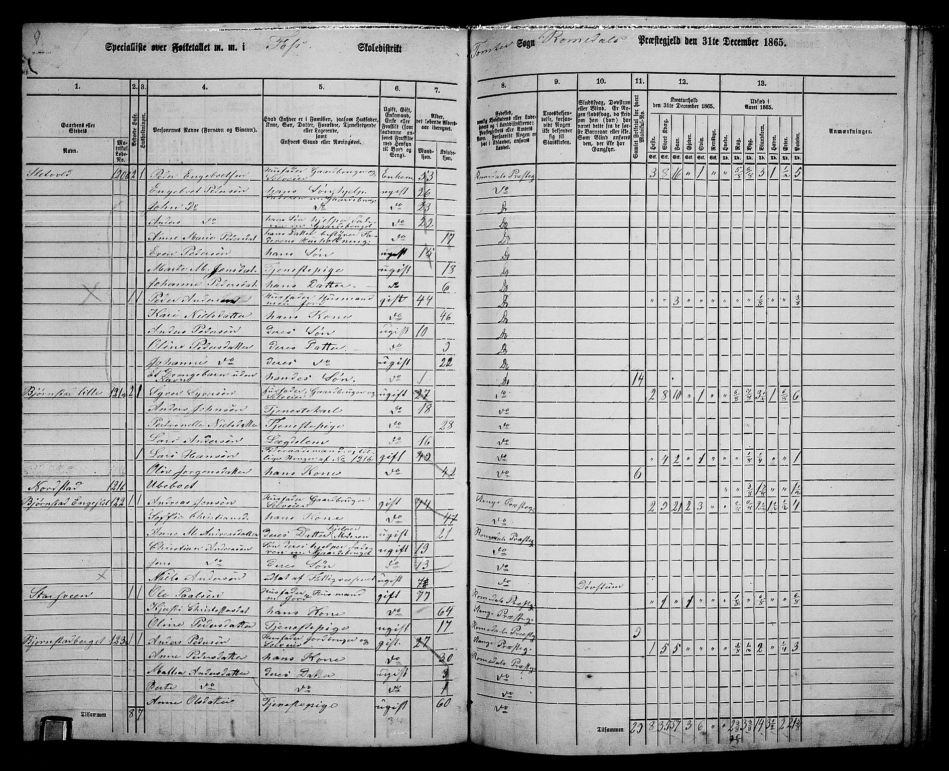 RA, 1865 census for Romedal, 1865, p. 173