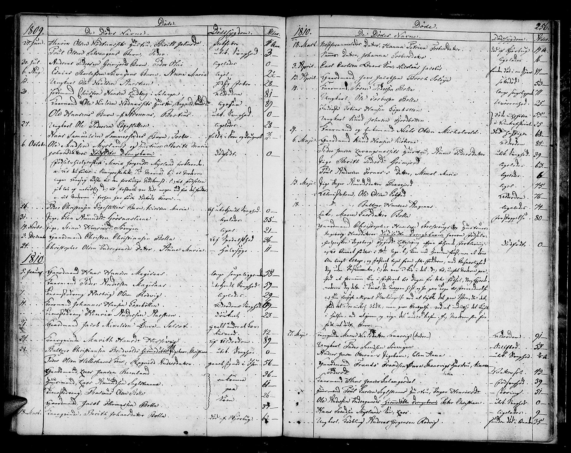 Ibestad sokneprestembete, AV/SATØ-S-0077/H/Ha/Haa/L0004kirke: Parish register (official) no. 4, 1801-1824, p. 256