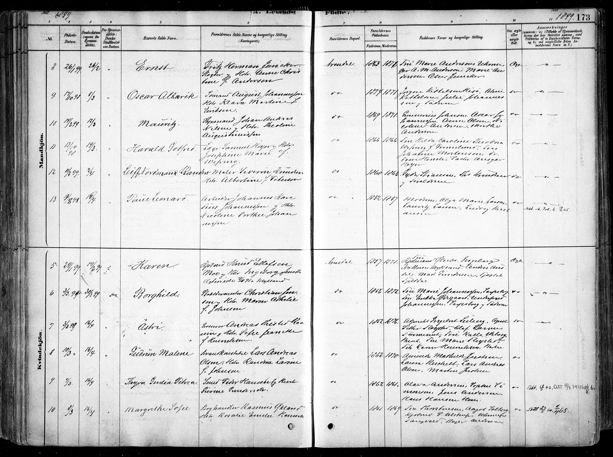 Arendal sokneprestkontor, Trefoldighet, AV/SAK-1111-0040/F/Fa/L0008: Parish register (official) no. A 8, 1878-1899, p. 173