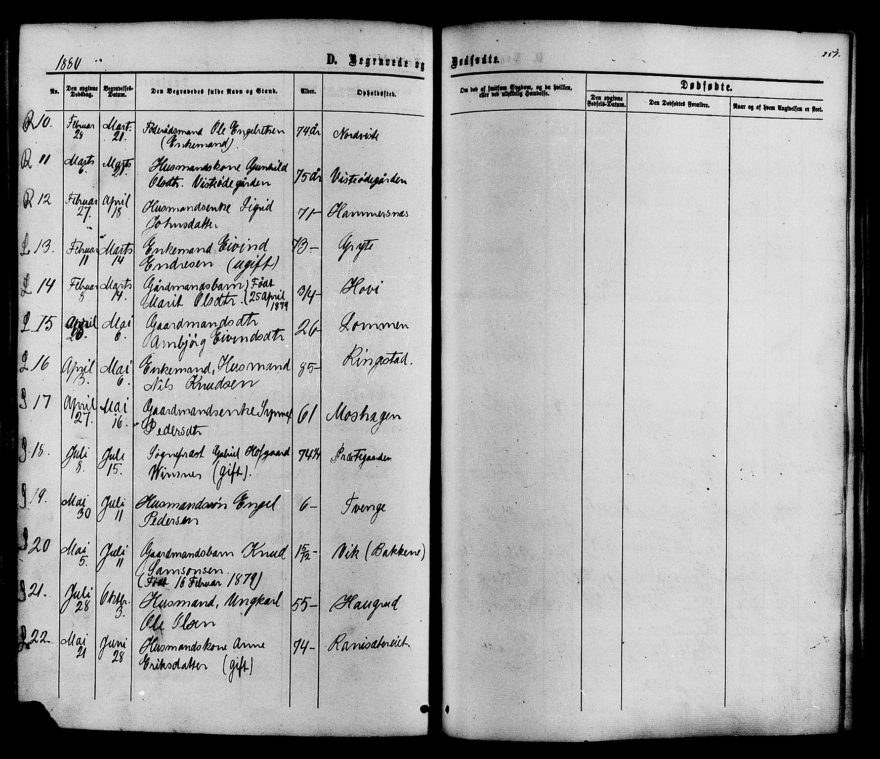 Vestre Slidre prestekontor, SAH/PREST-136/H/Ha/Haa/L0003: Parish register (official) no. 3, 1865-1880, p. 251
