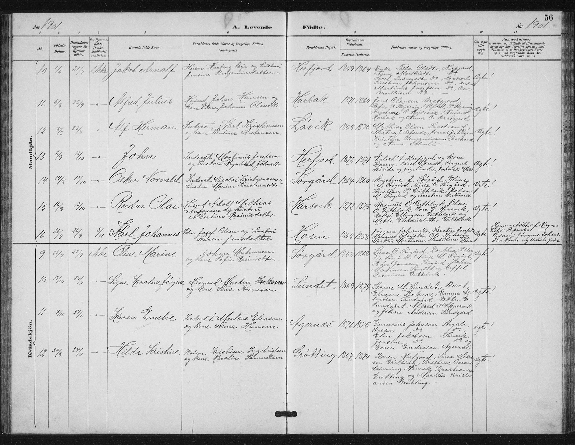 Ministerialprotokoller, klokkerbøker og fødselsregistre - Sør-Trøndelag, SAT/A-1456/656/L0698: Parish register (copy) no. 656C04, 1890-1904, p. 56