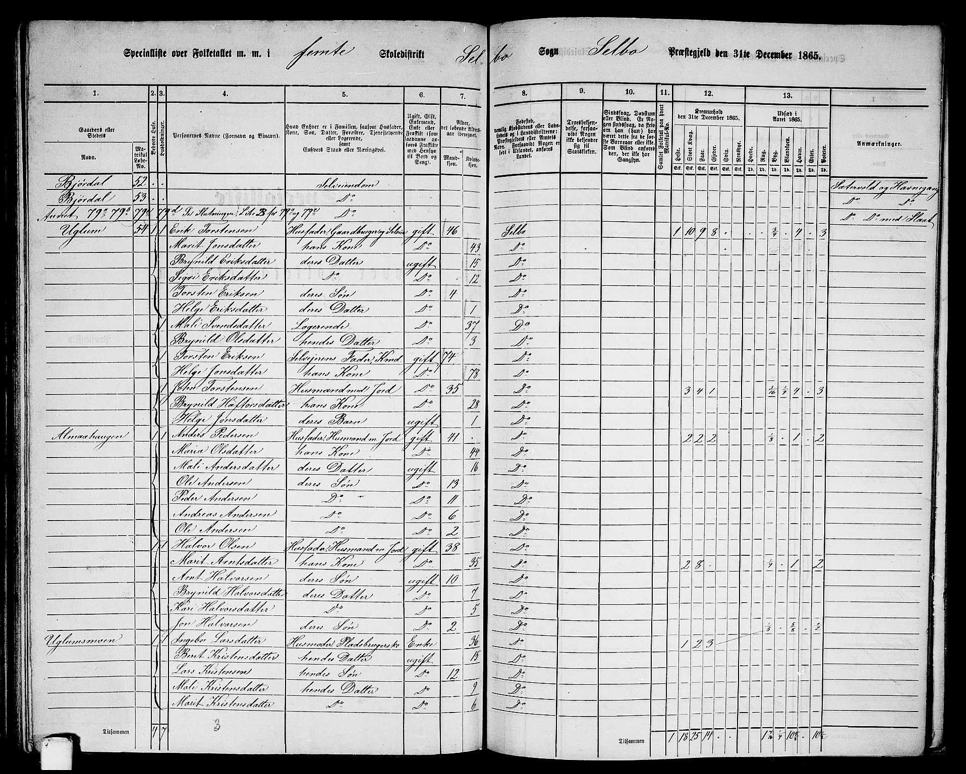 RA, 1865 census for Selbu, 1865, p. 66