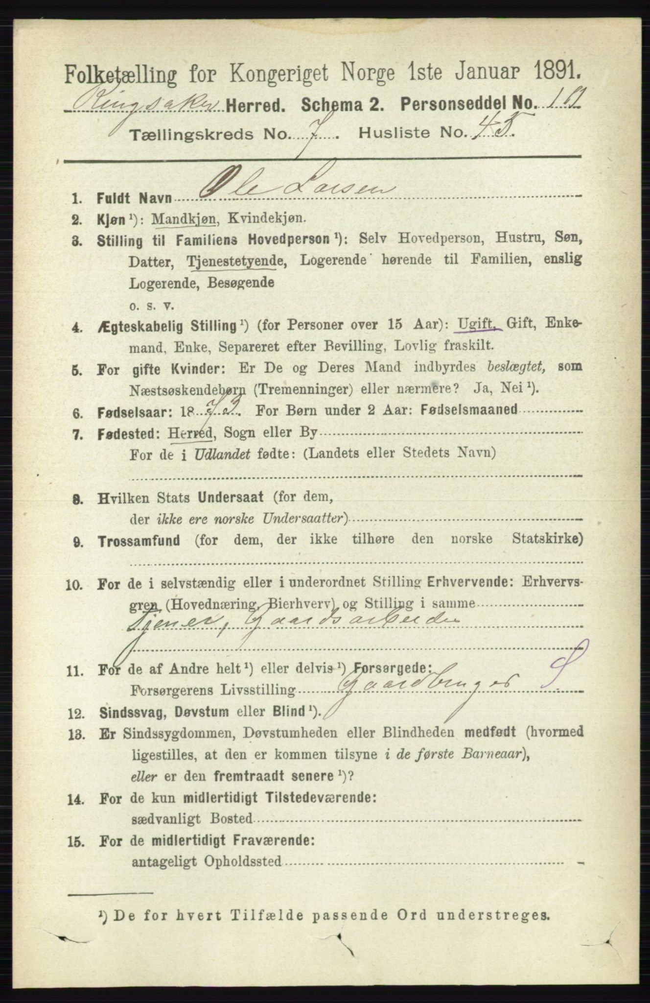 RA, 1891 census for 0412 Ringsaker, 1891, p. 4201