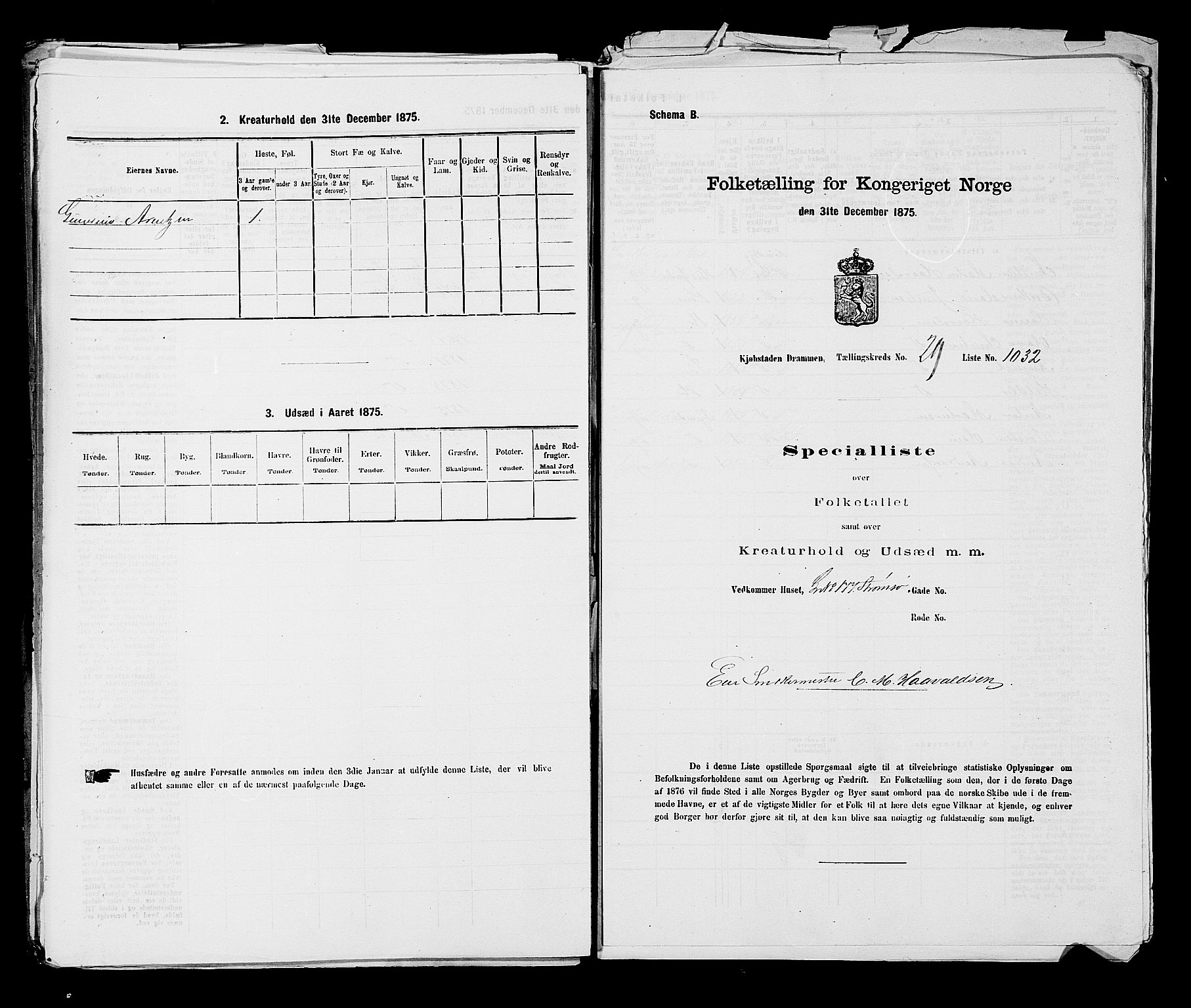 SAKO, 1875 census for 0602 Drammen, 1875, p. 2767